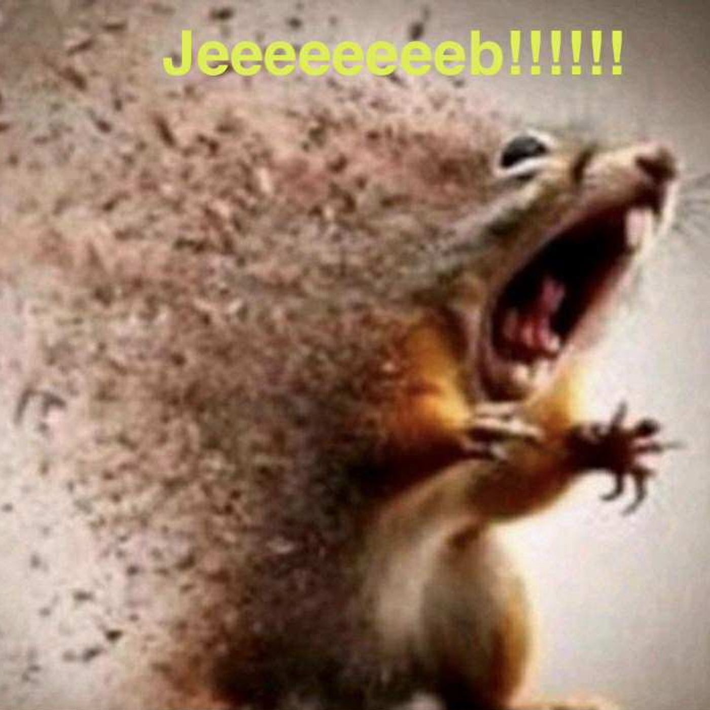 Ep.36 Interview with Dale! Ep.36 Interview with Dale!