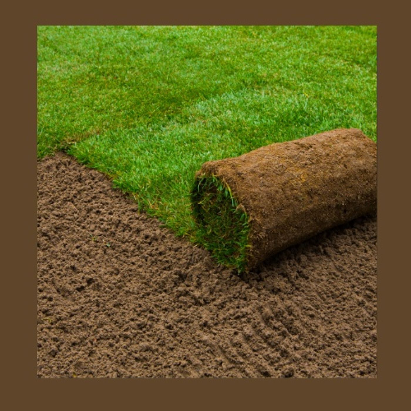 Giardino Futuro