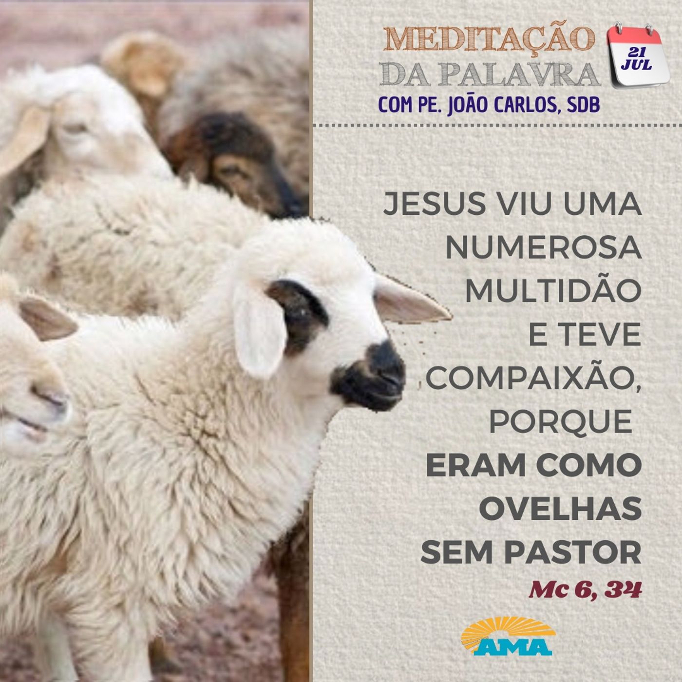21 de julho de 2024 - Meditação da Palavra do Senhor