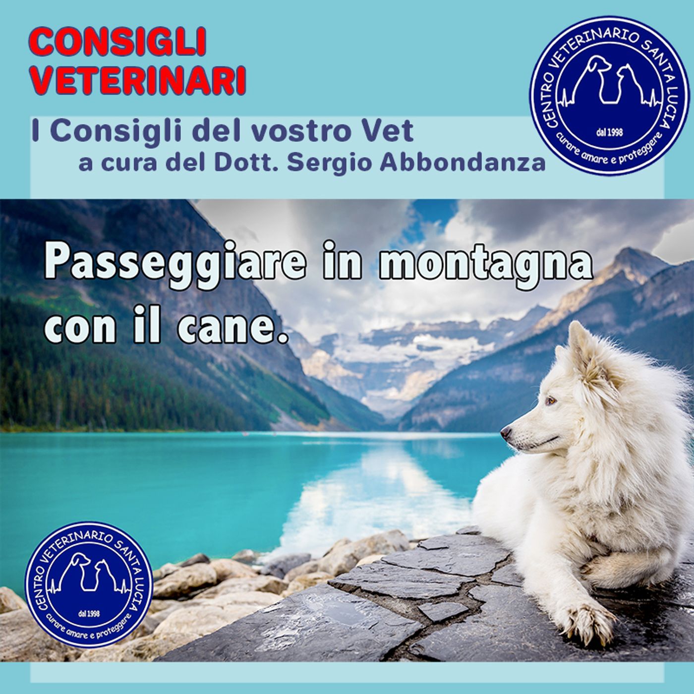 Consigli Veterinari