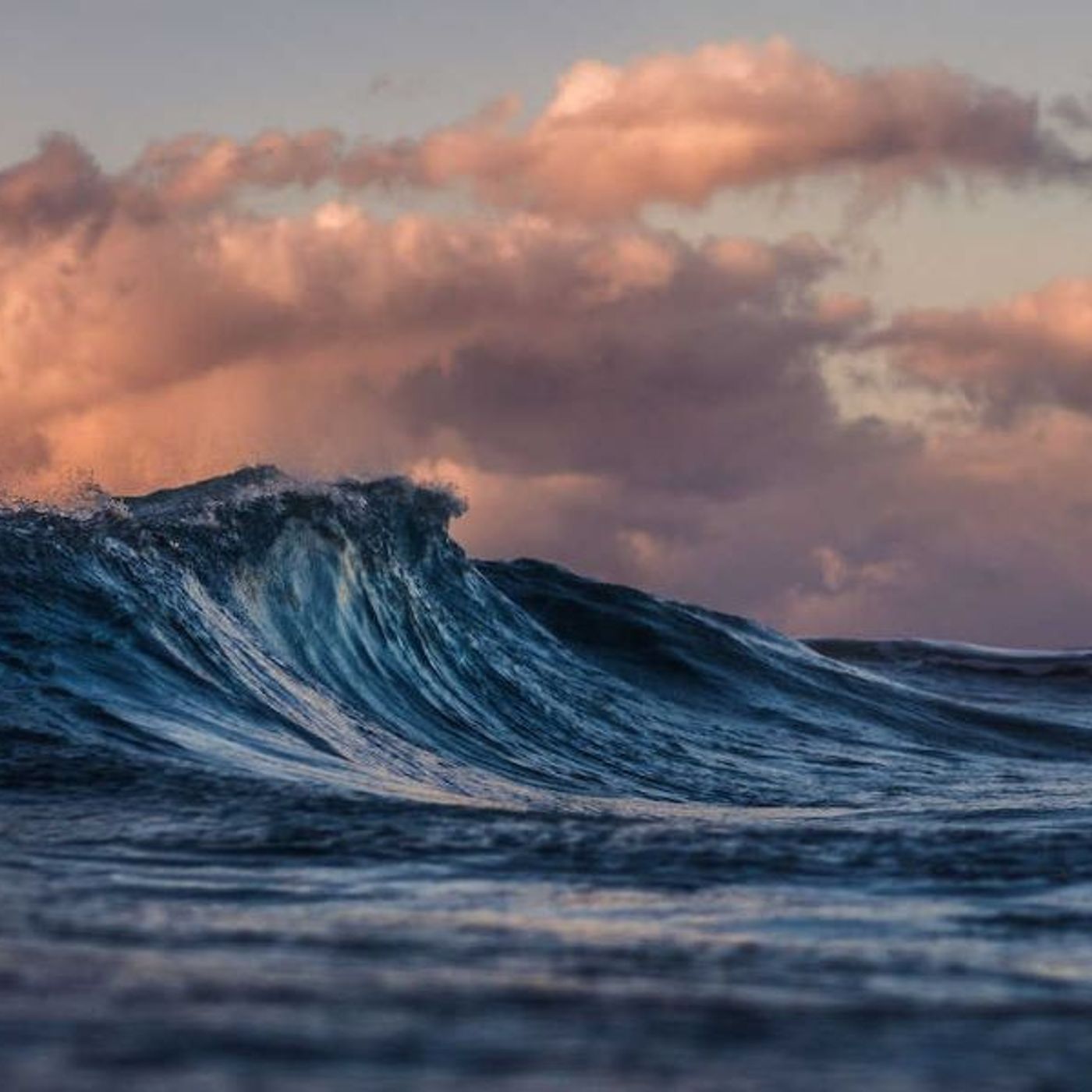 Mare…