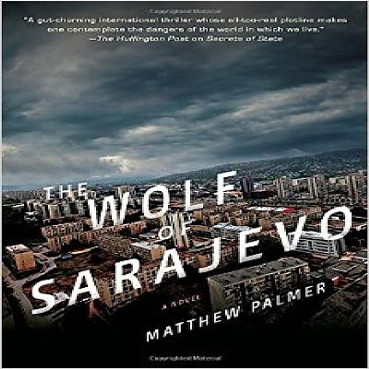 Matthew Palmer Author Of The Wolf Of Sarajevo