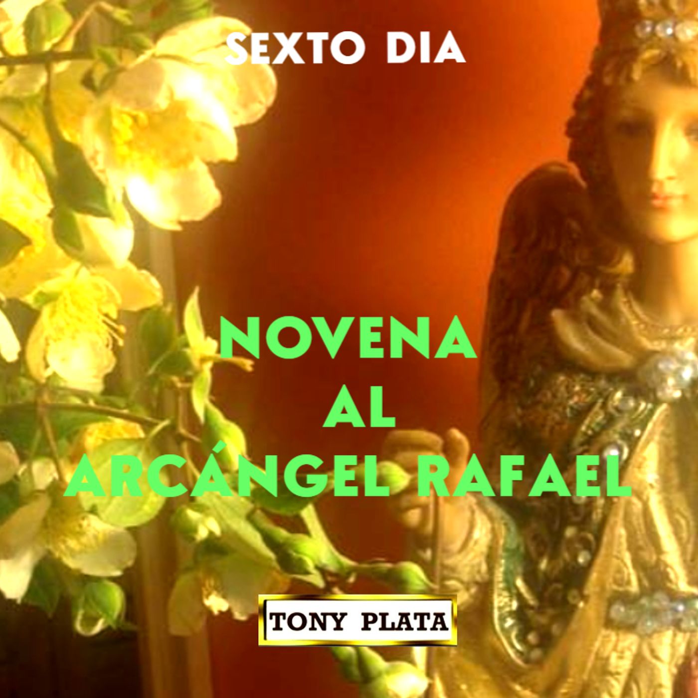 SEXTO DÍA   DE LA NOVENA A SAN RAFAEL ARCÁNGEL episode artwork