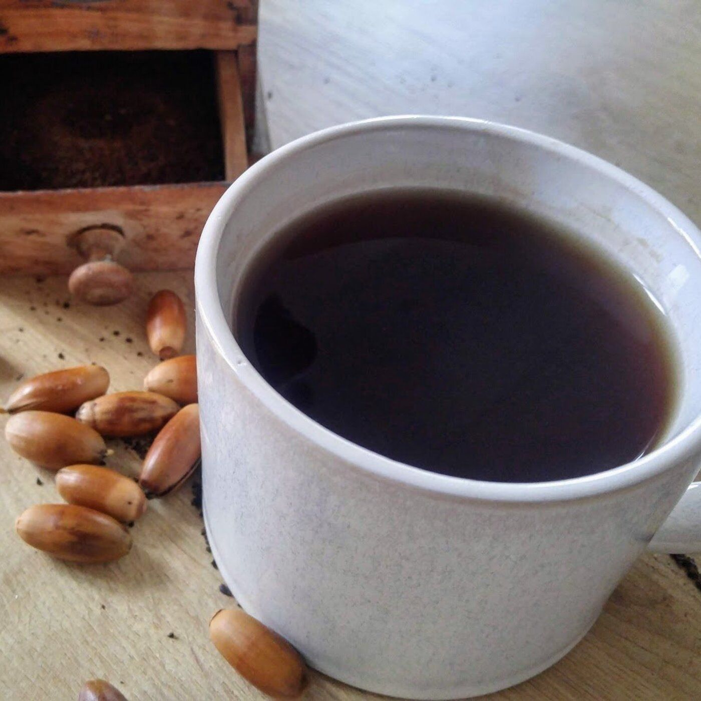 Utilisation du gland de Chêne pour lancer une filière de production : Joachim Melman
