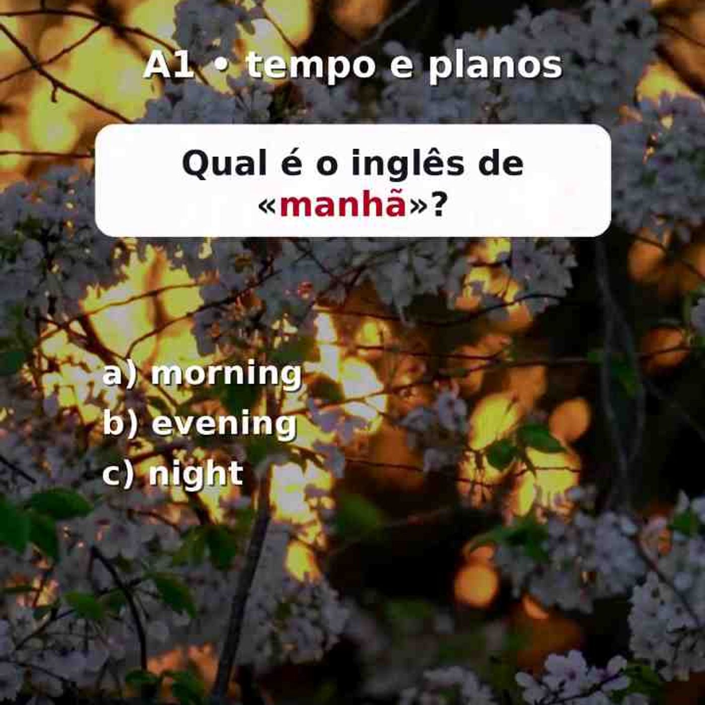 Treine vocabulário básico de tempo_ dias e compromissos em um quiz rápido de English A1.