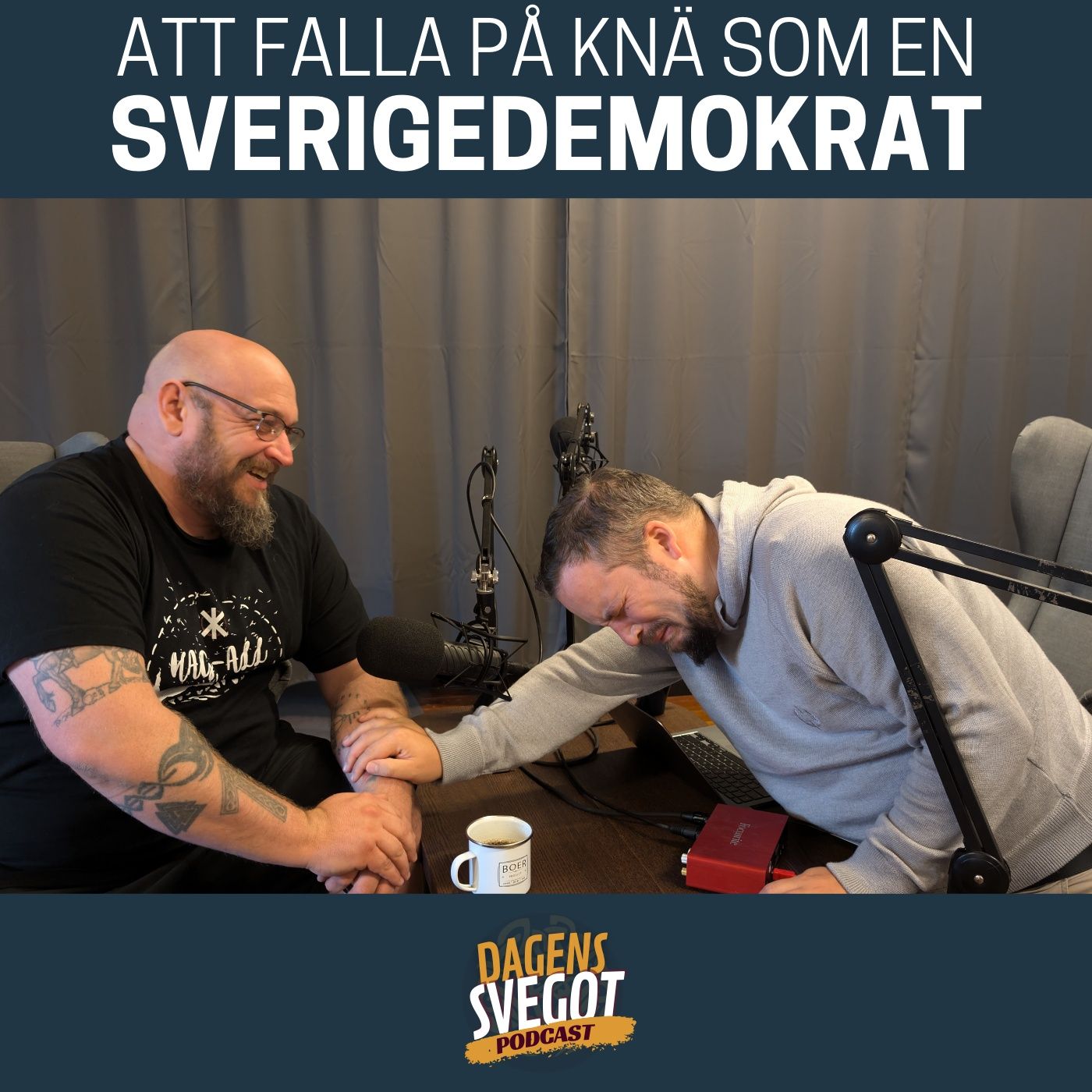 Att falla på knä som en sverigedemokrat