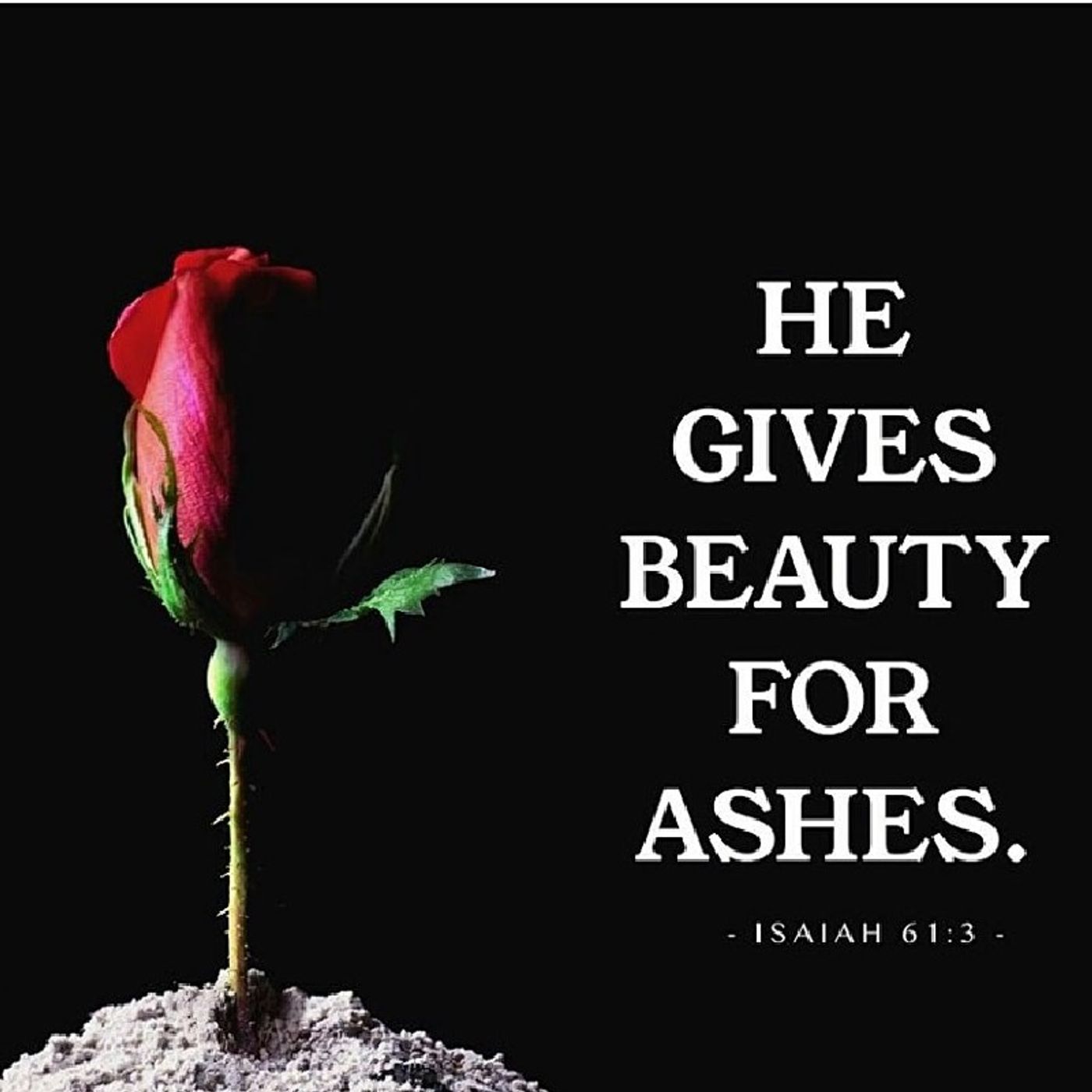 Episode 92 - "Beauty From the Ashes: The God Who Restores."