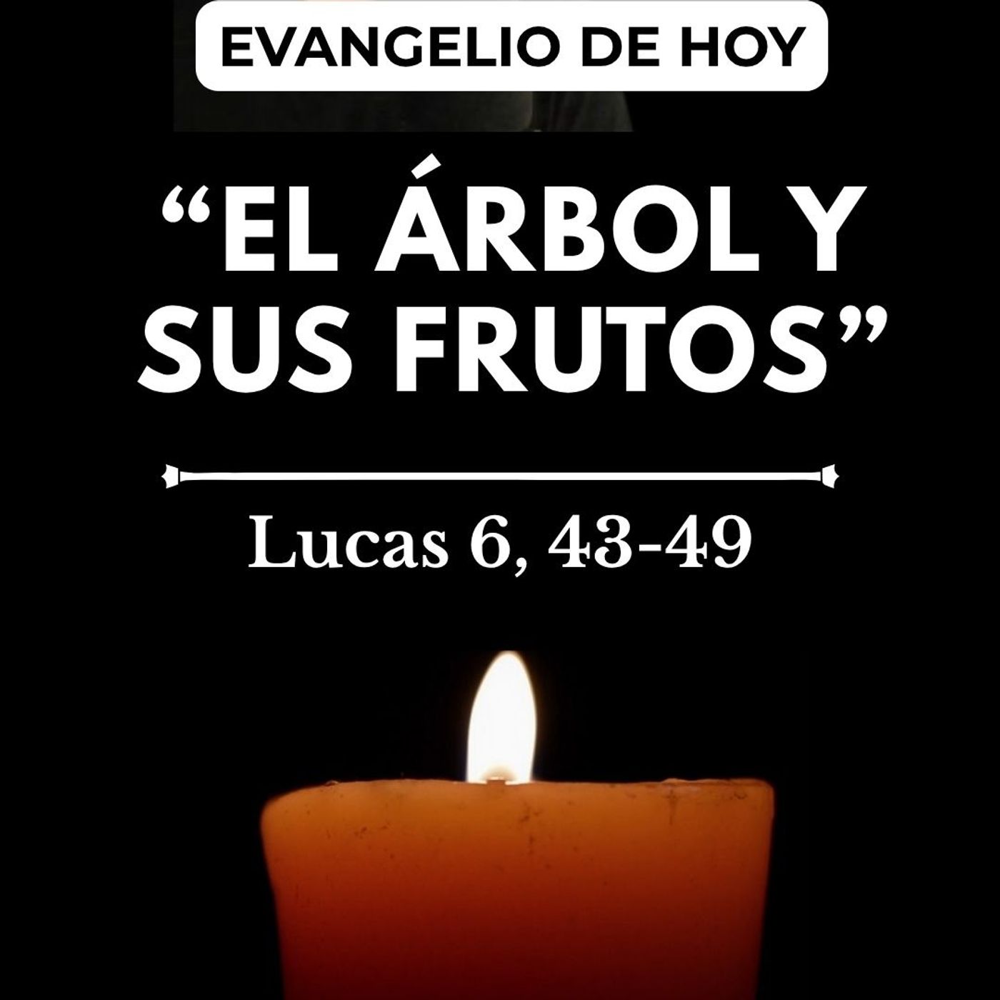 Evangelio | Sábado 12 Septiembre | "El árbol y sus frutos" (Lucas 6, 43-49) episode artwork