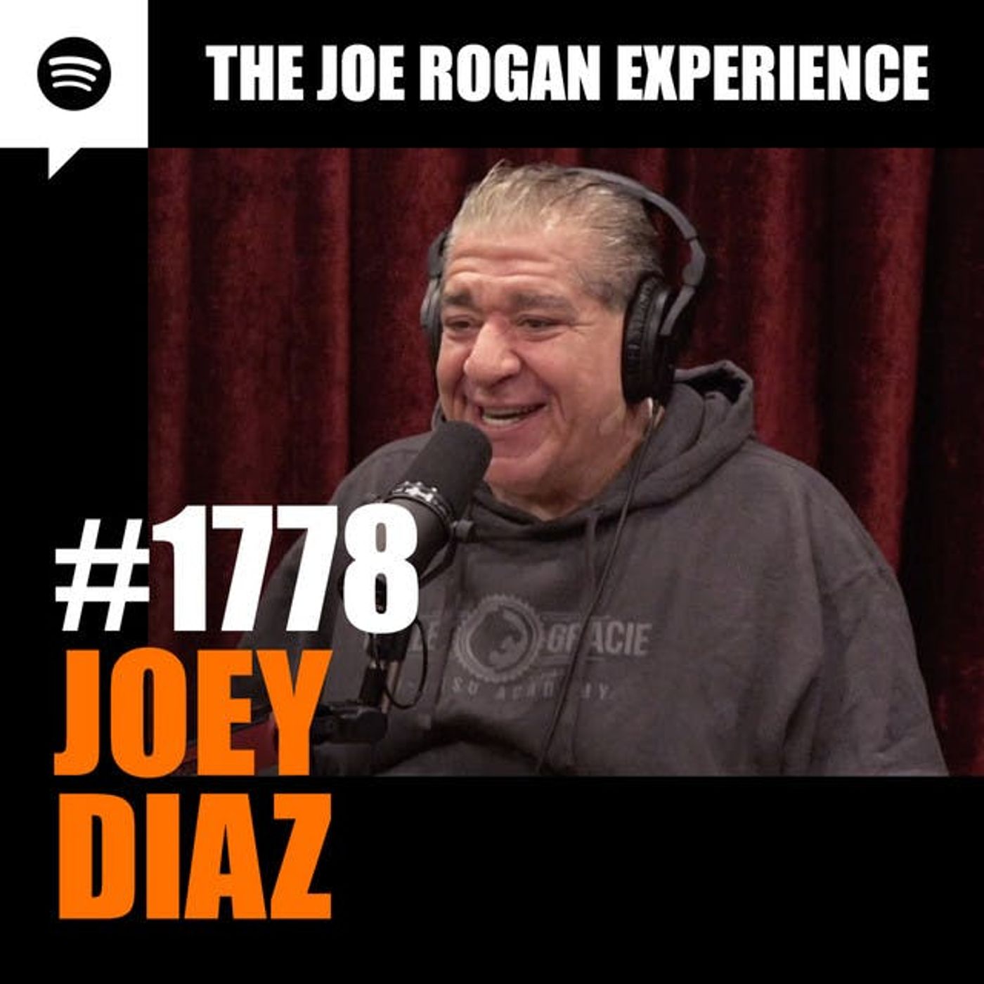 The Joe Rogan Experience