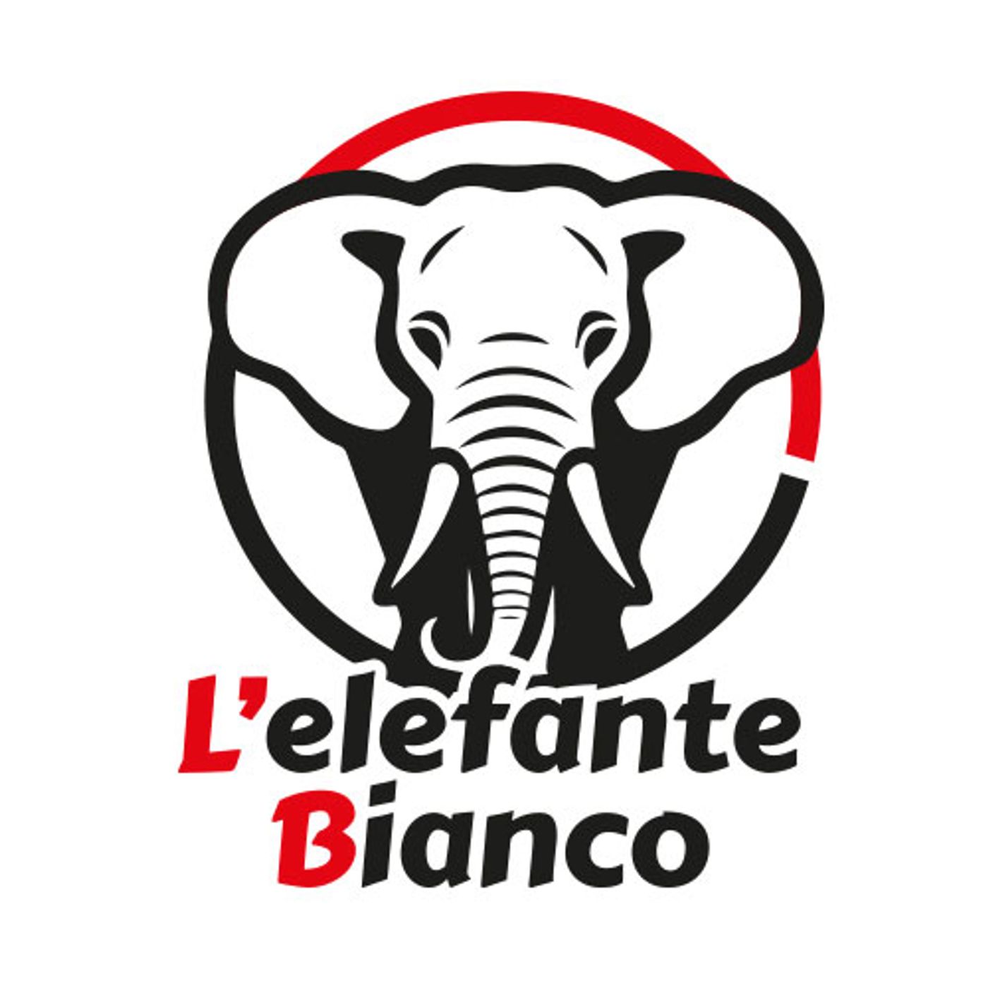 Copertina di L'elefante bianco
