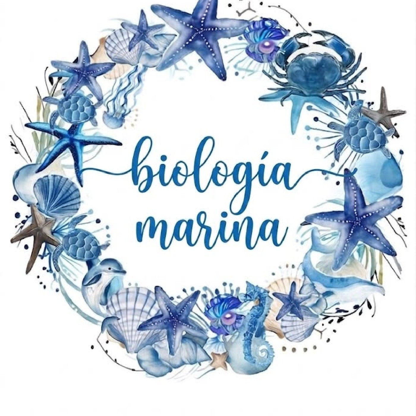 El fascinante mundo de la biología marin