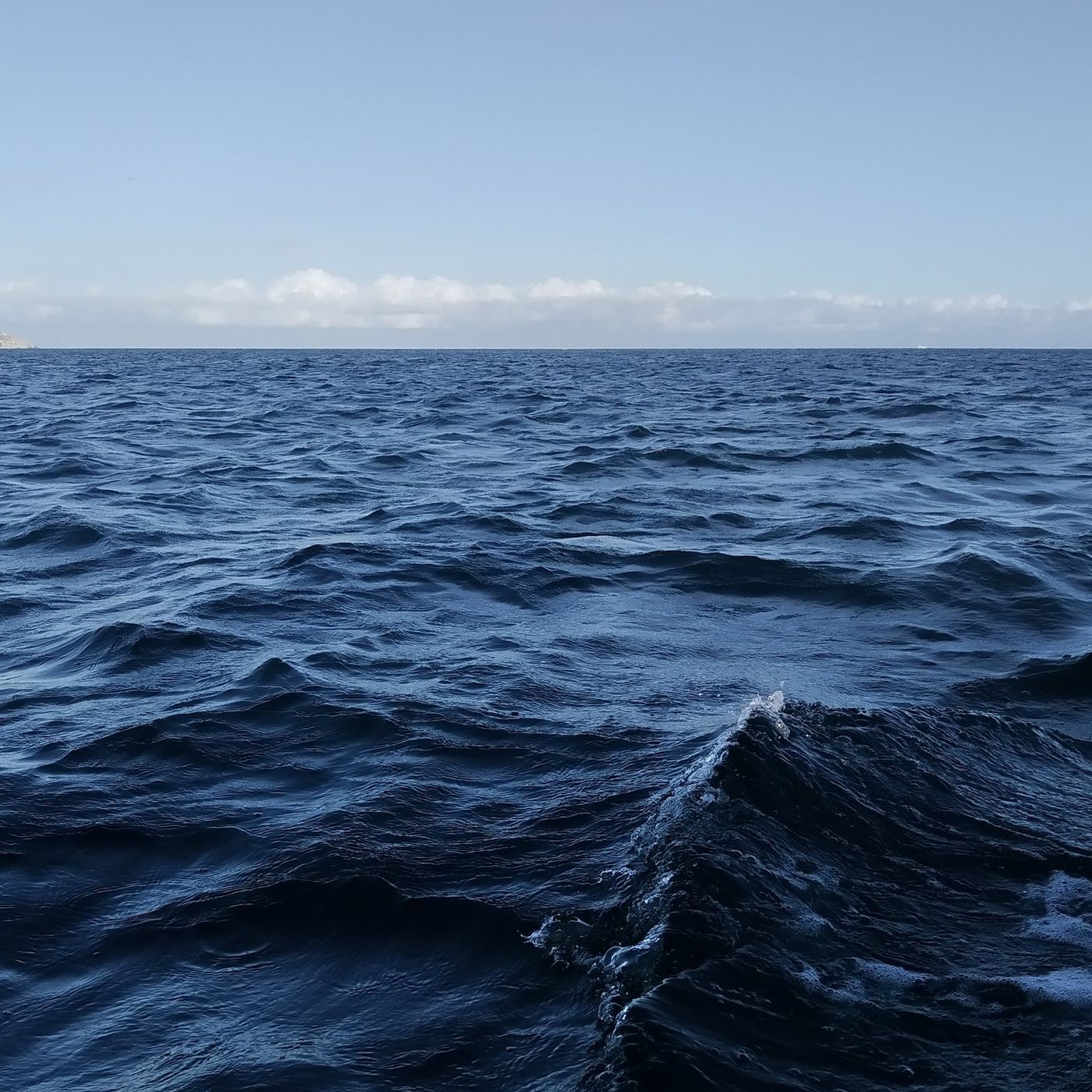 Canciones en mi habitacion