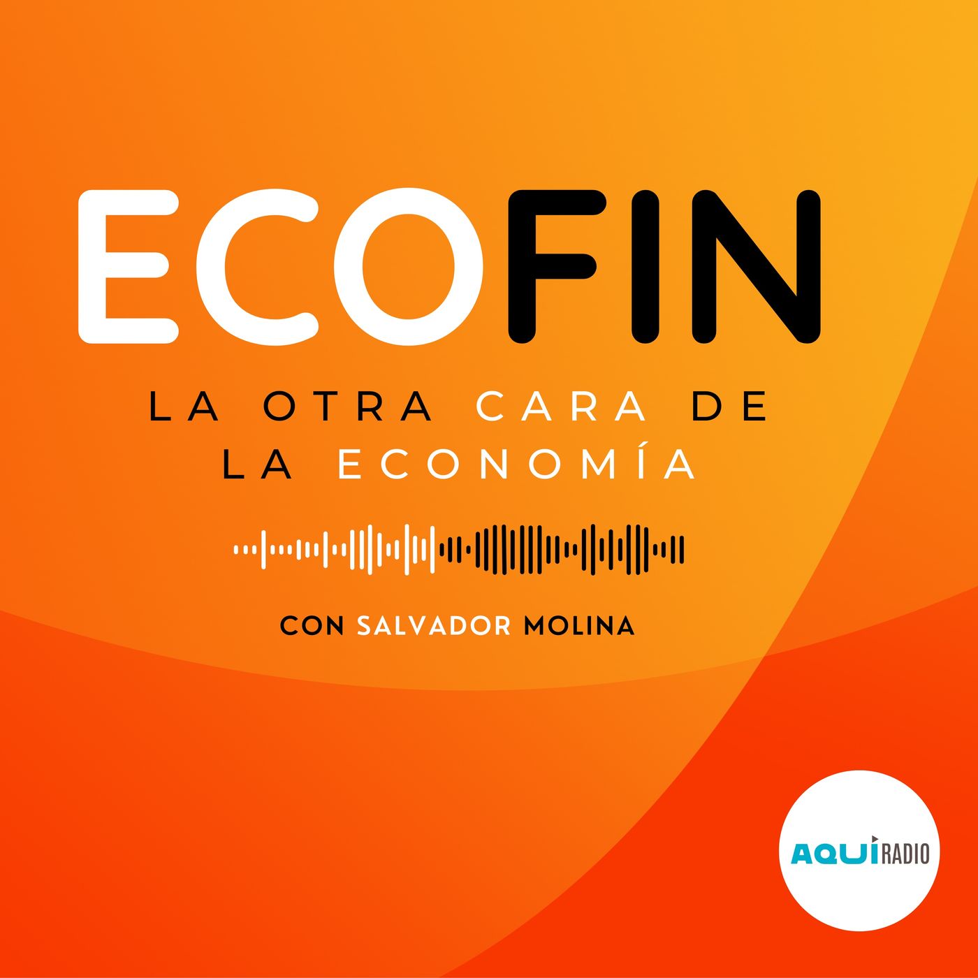 ECOFIN, La Otra Cara de la Economía