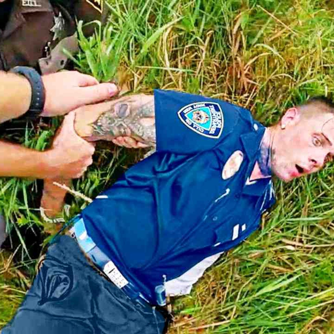 When Cops Have To Arrest Their Bosses episode artwork