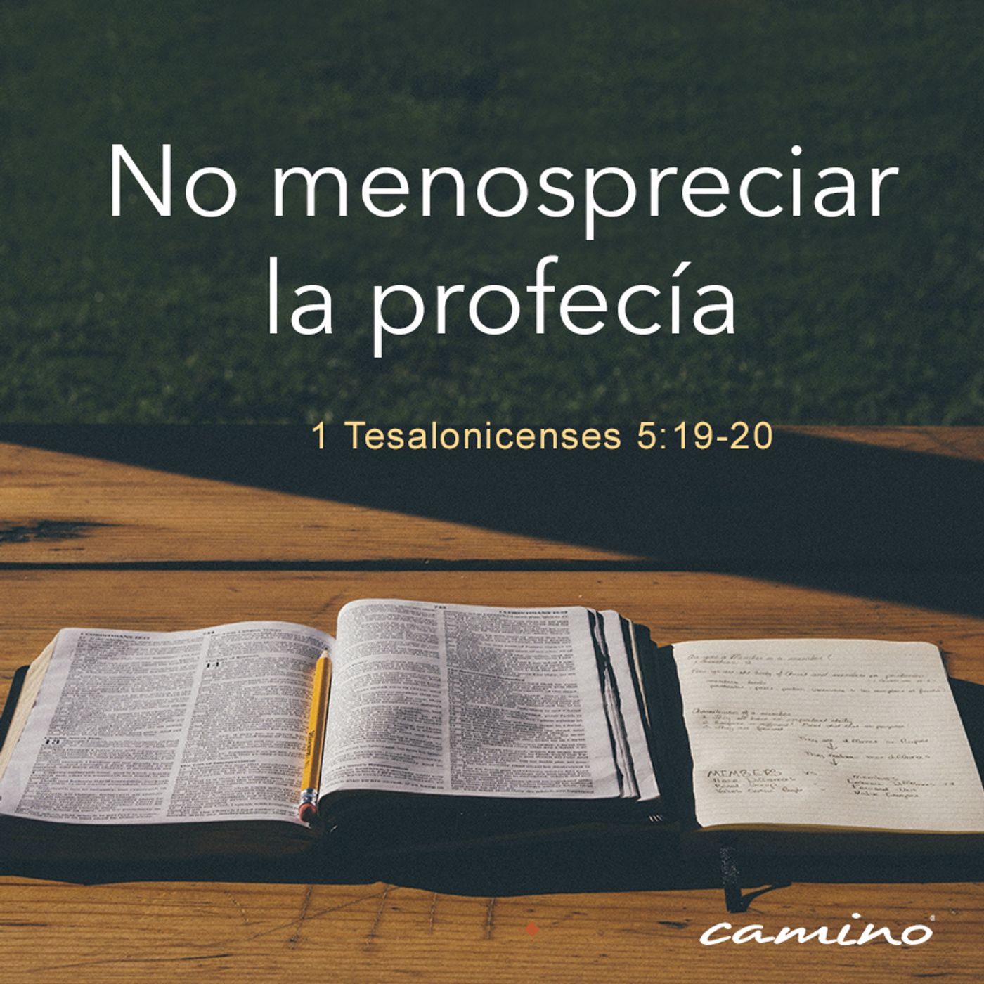 Oración 19 de marzo (No menospreciar la profecía) episode artwork