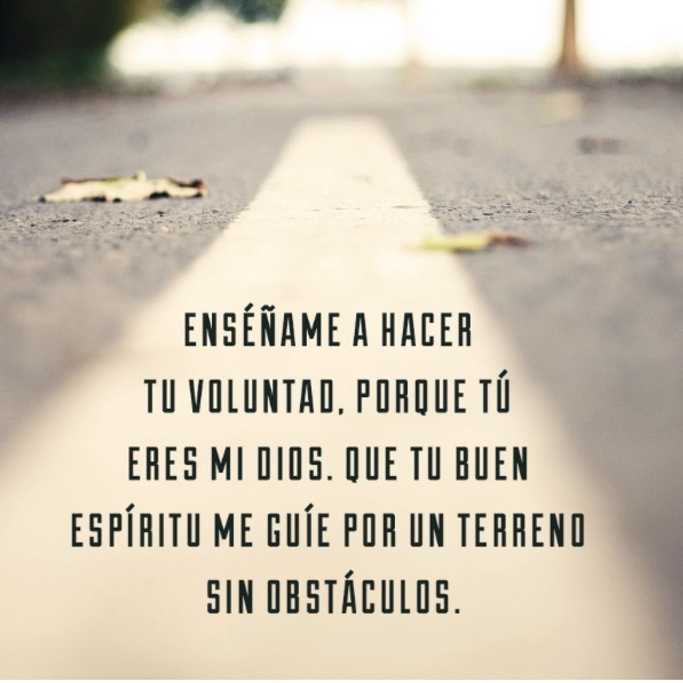 Su delicia