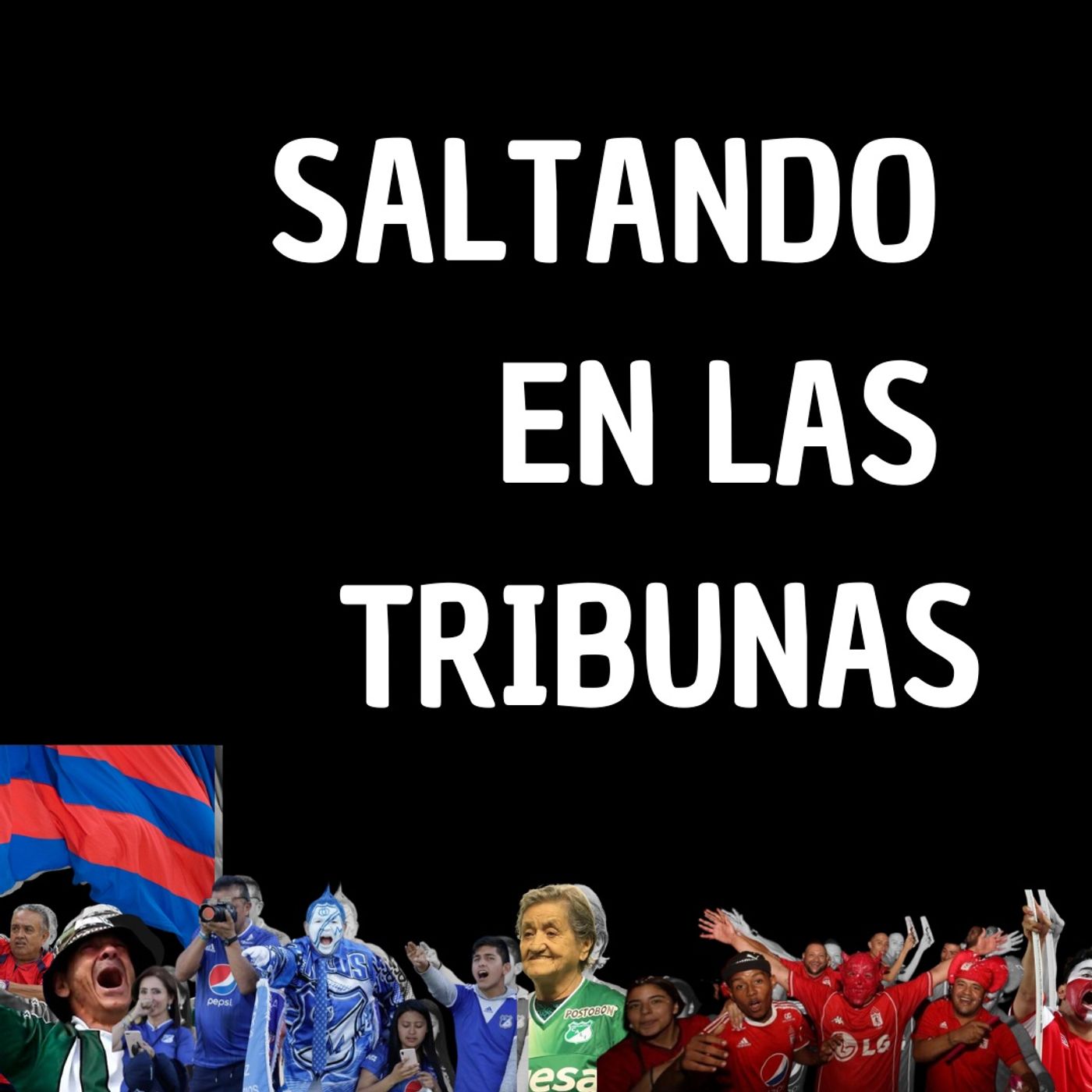 Saltando en las tribunas cover art