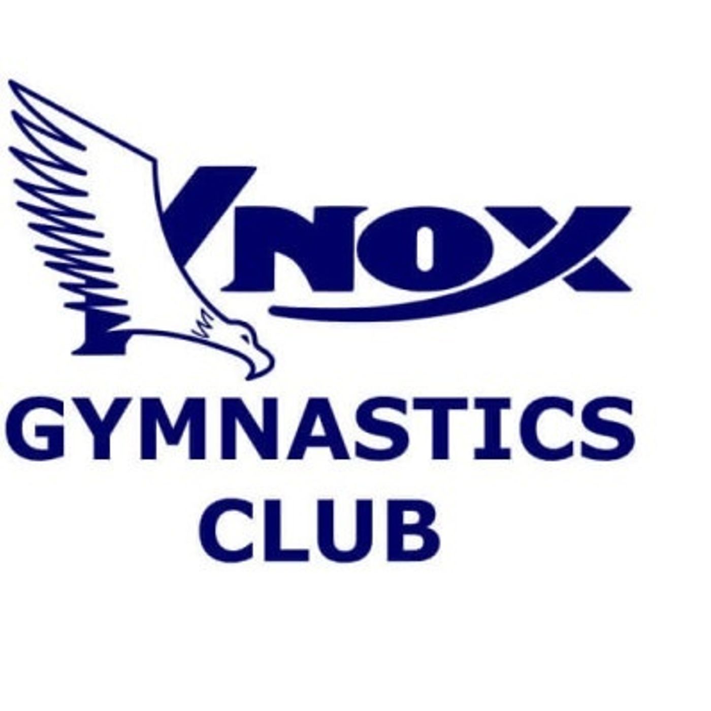 SSS: KNOX GYMNASTICS SEGMENT 081216 episode artwork