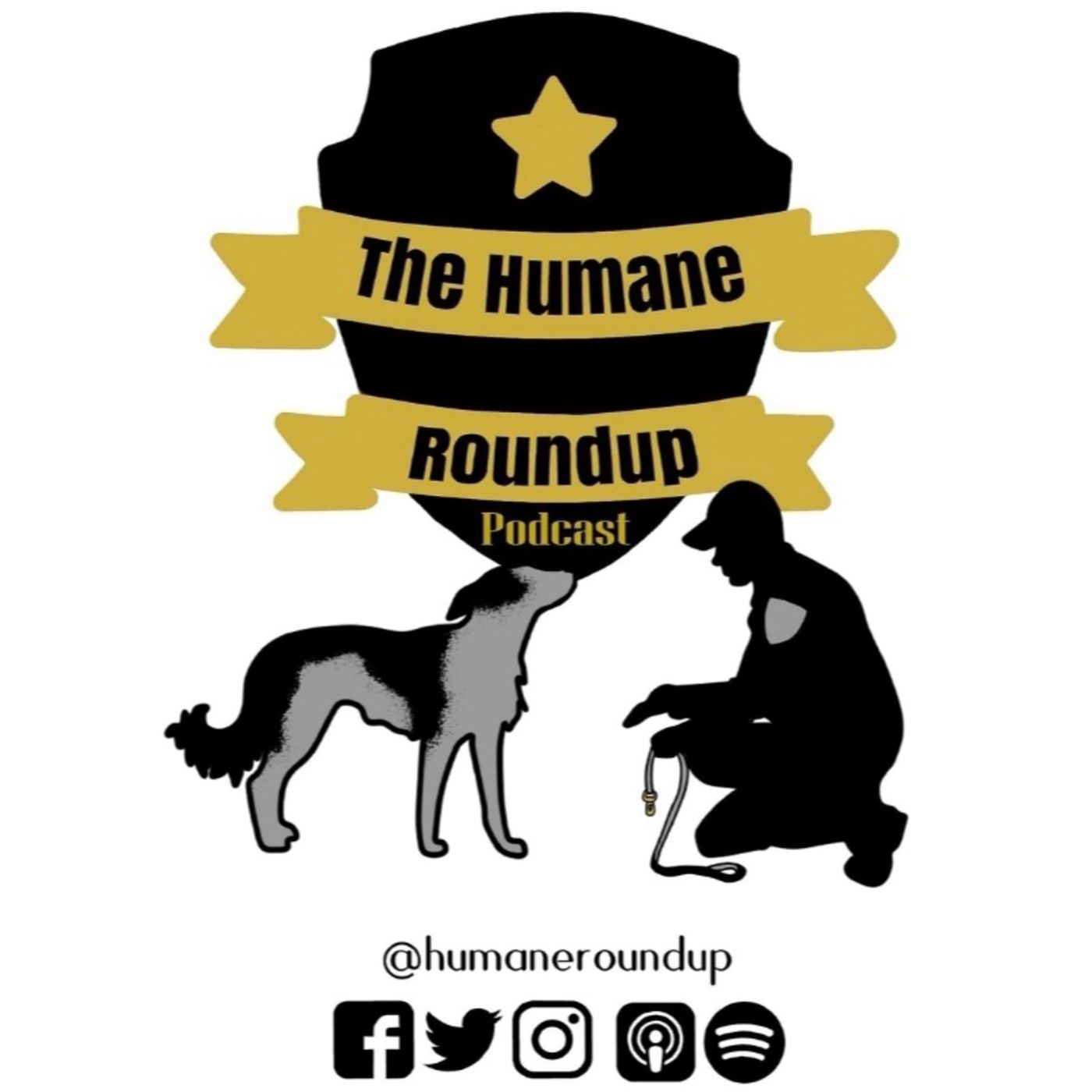 The Animal Control Report