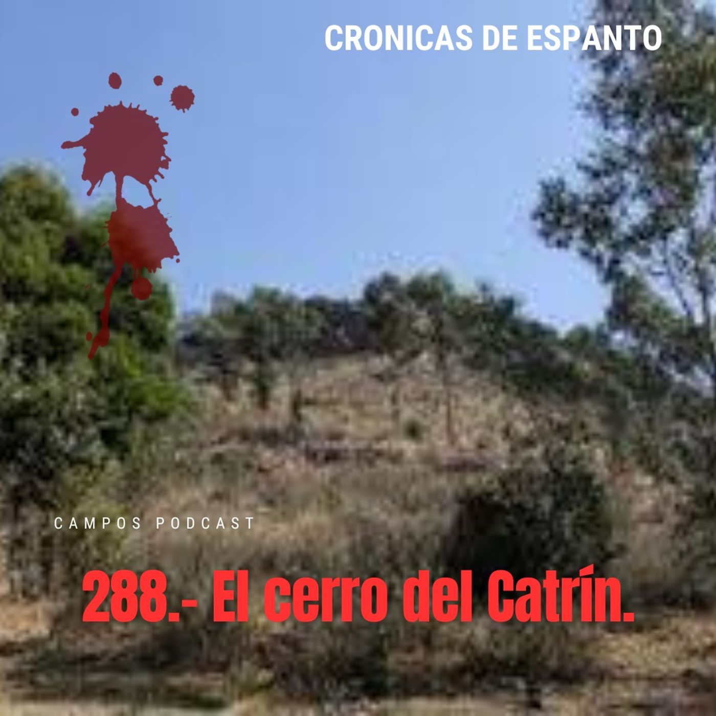 288.El cerro del catrin