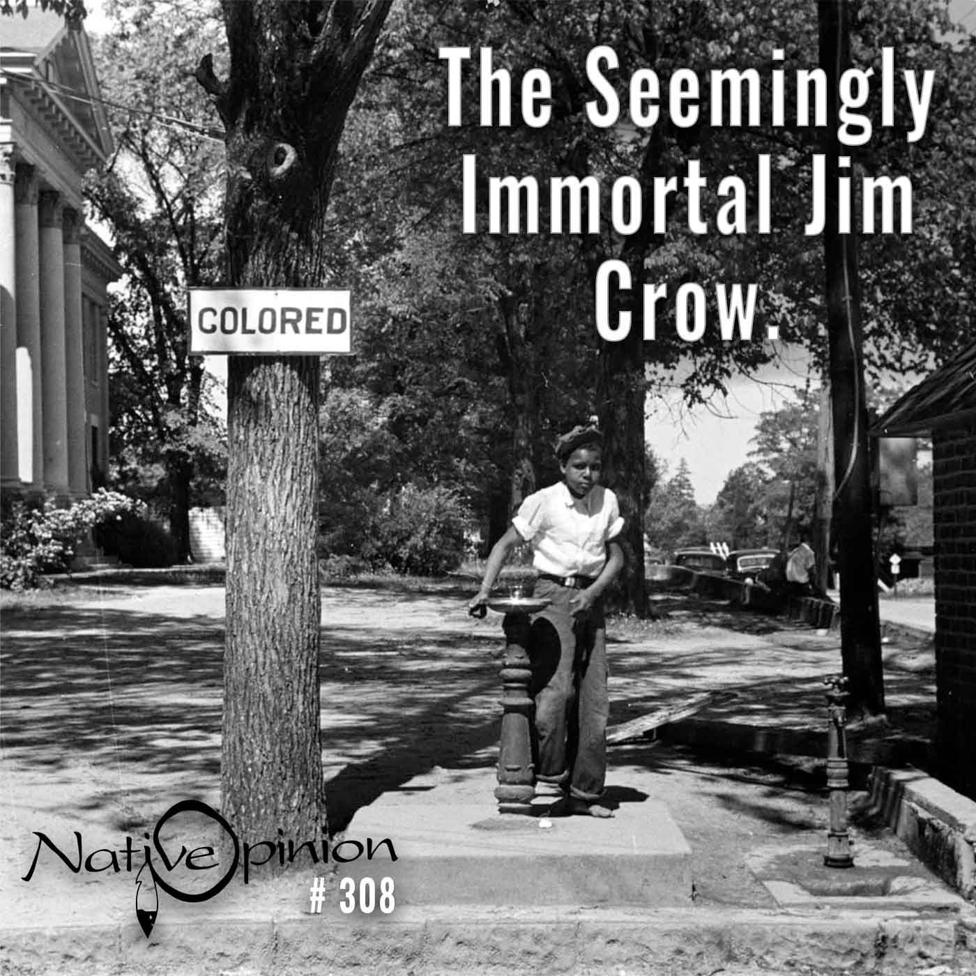 EPISODE  308  "The Seemingly Immortal Jim Crow." - podcast episode cover