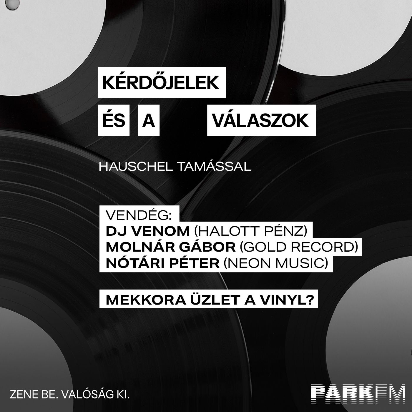 Mekkora üzlet a vinyl? | Park FM - Kérdőjelek és a válaszok episode artwork