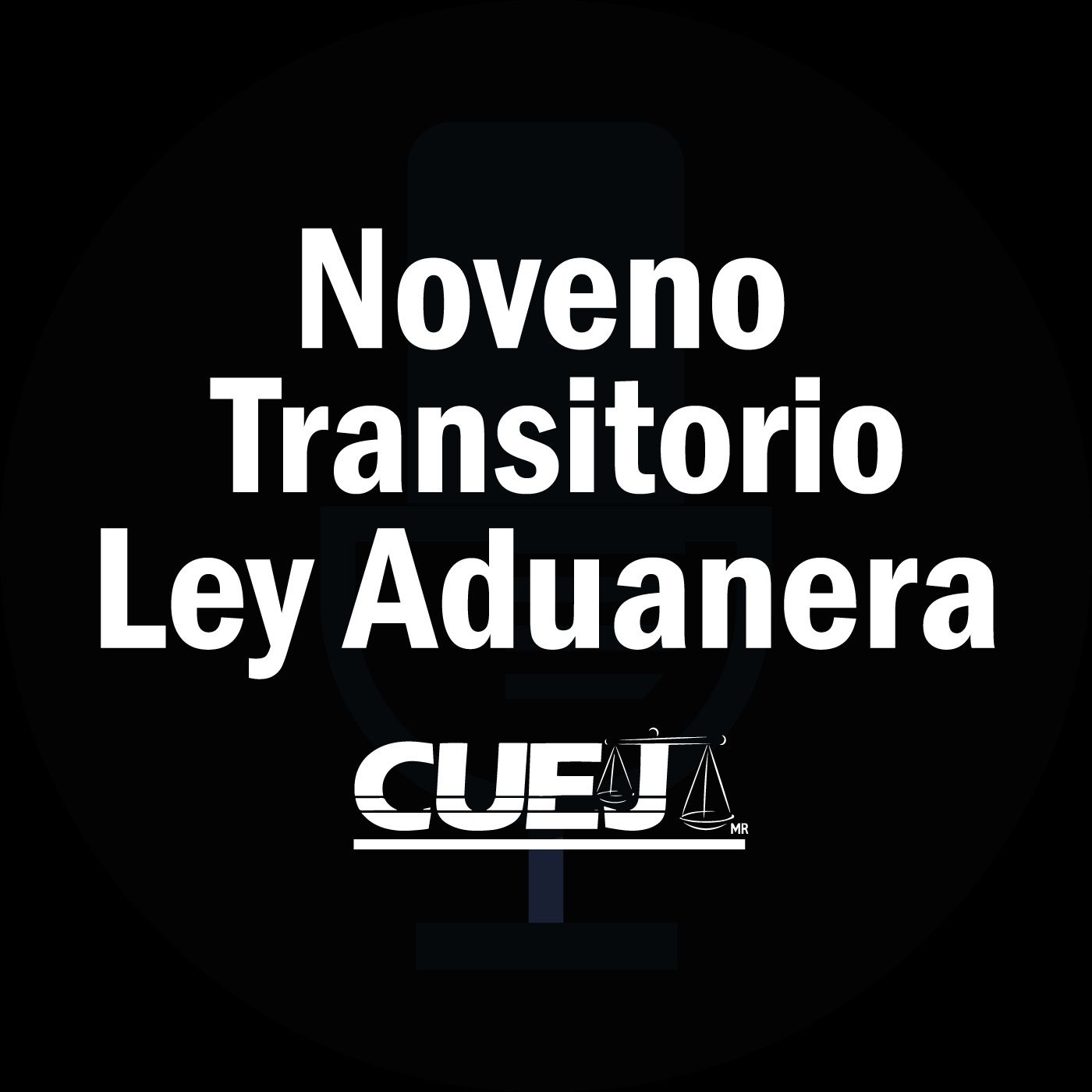 Audio Ley Aduanera