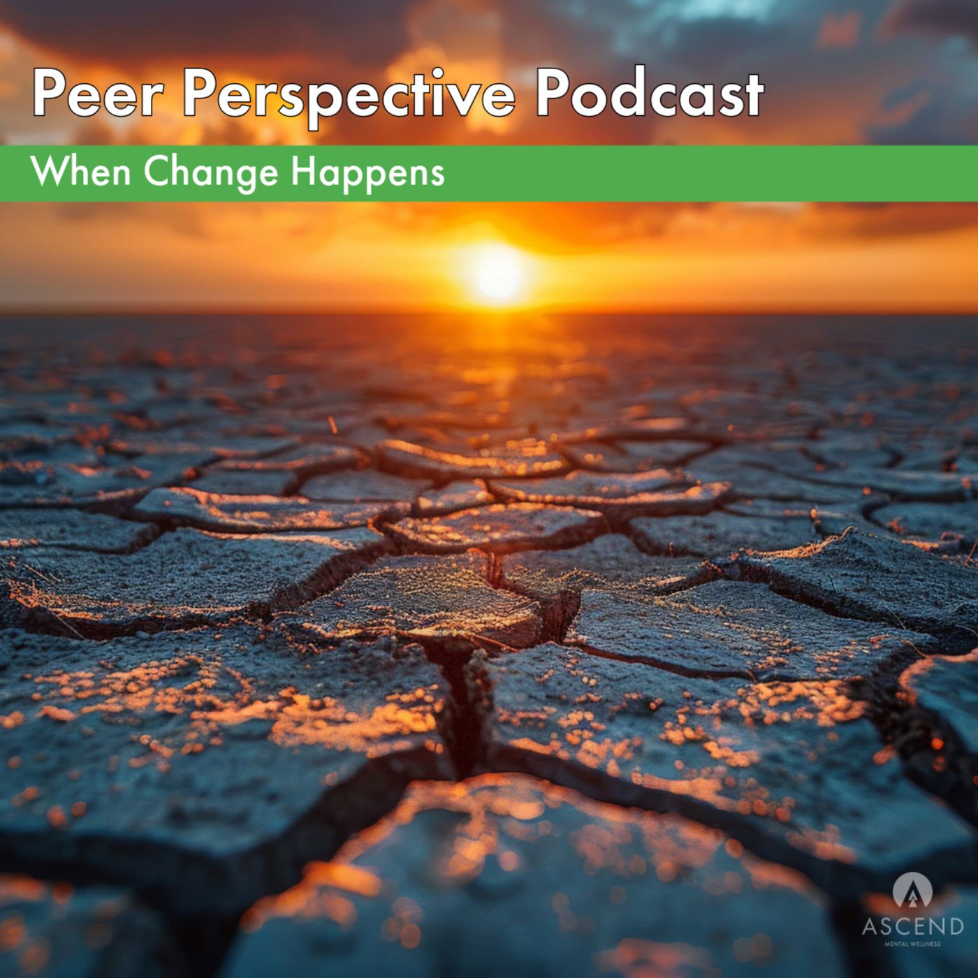 Peer Perspective