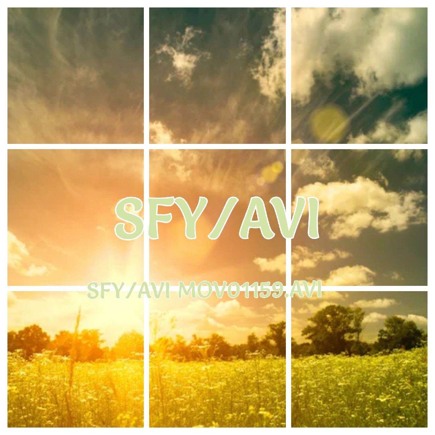 SFY/AVI _6Oct/7Nov/17Dec/ 🤑🤑🤑martina podcast artwork