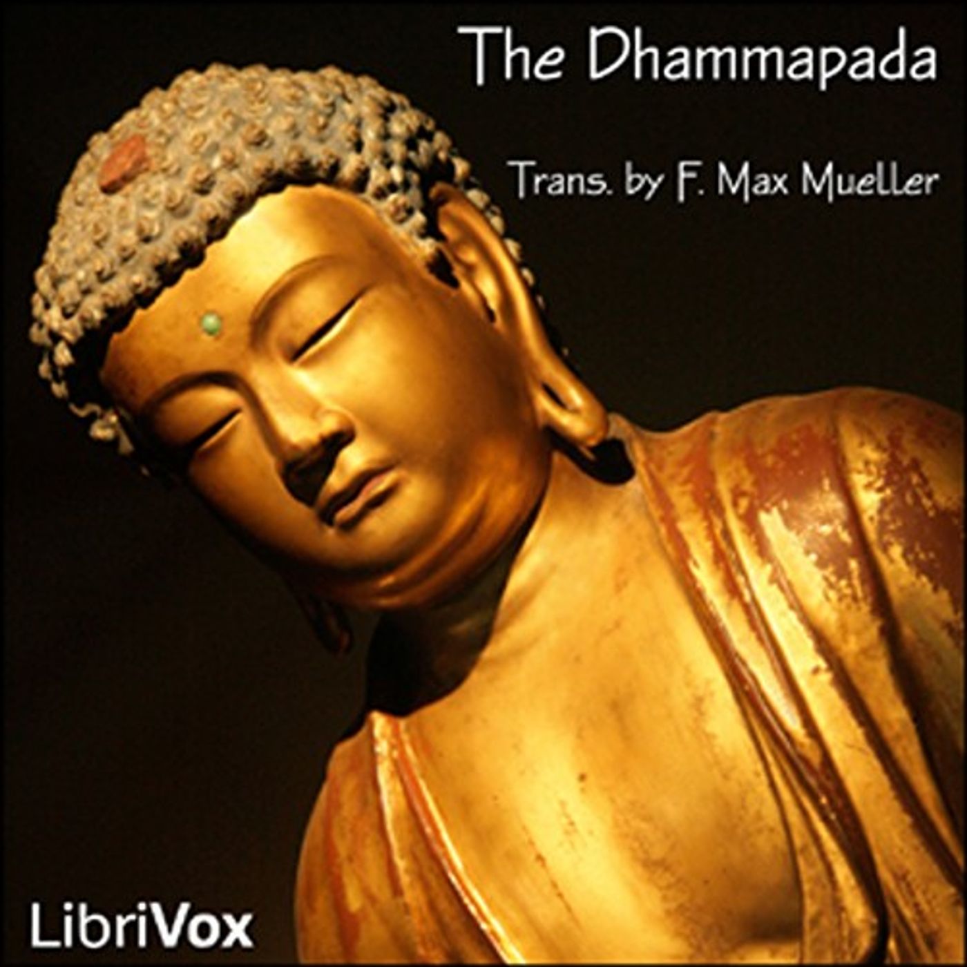 The Dhammapada by Unknown. cover art