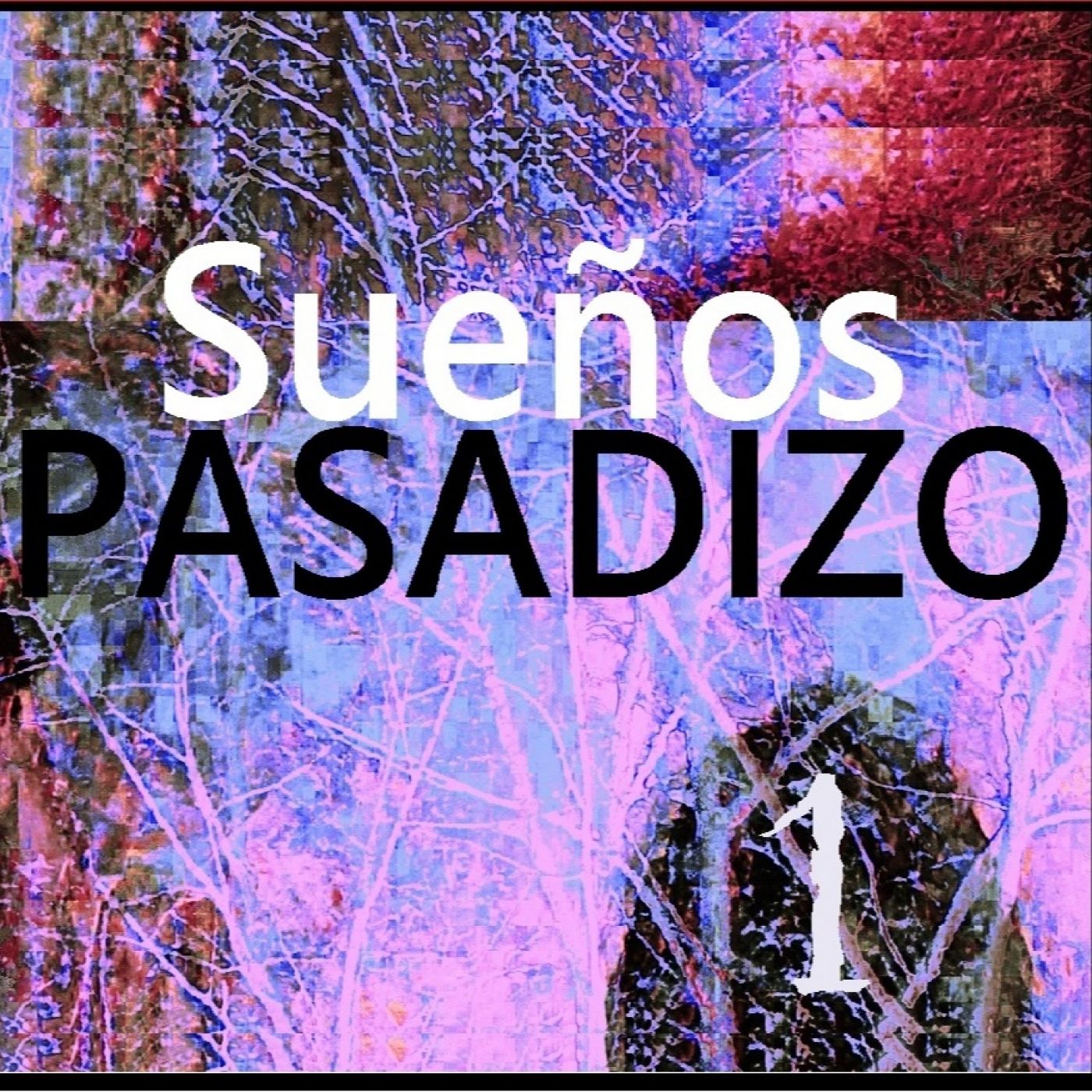 PASADIZO