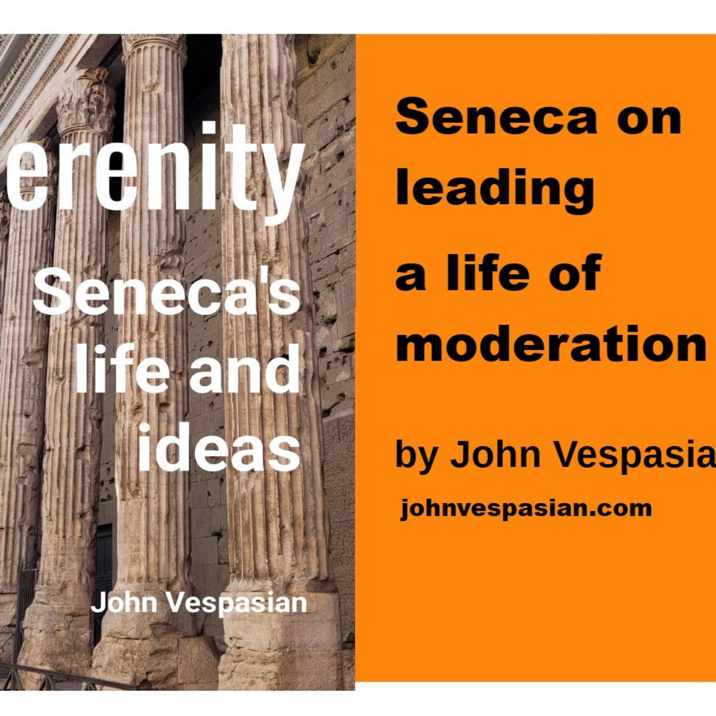 Seneca on leading a life of moderation episode artwork