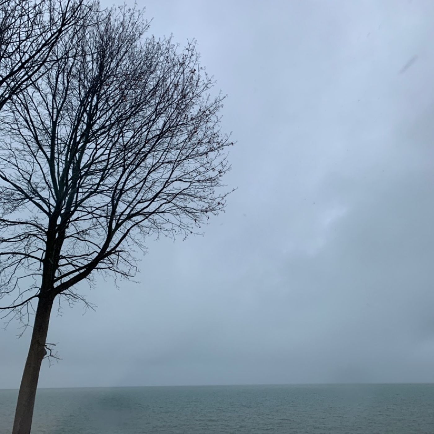 Prayer on the Go! - with Bishop Deb