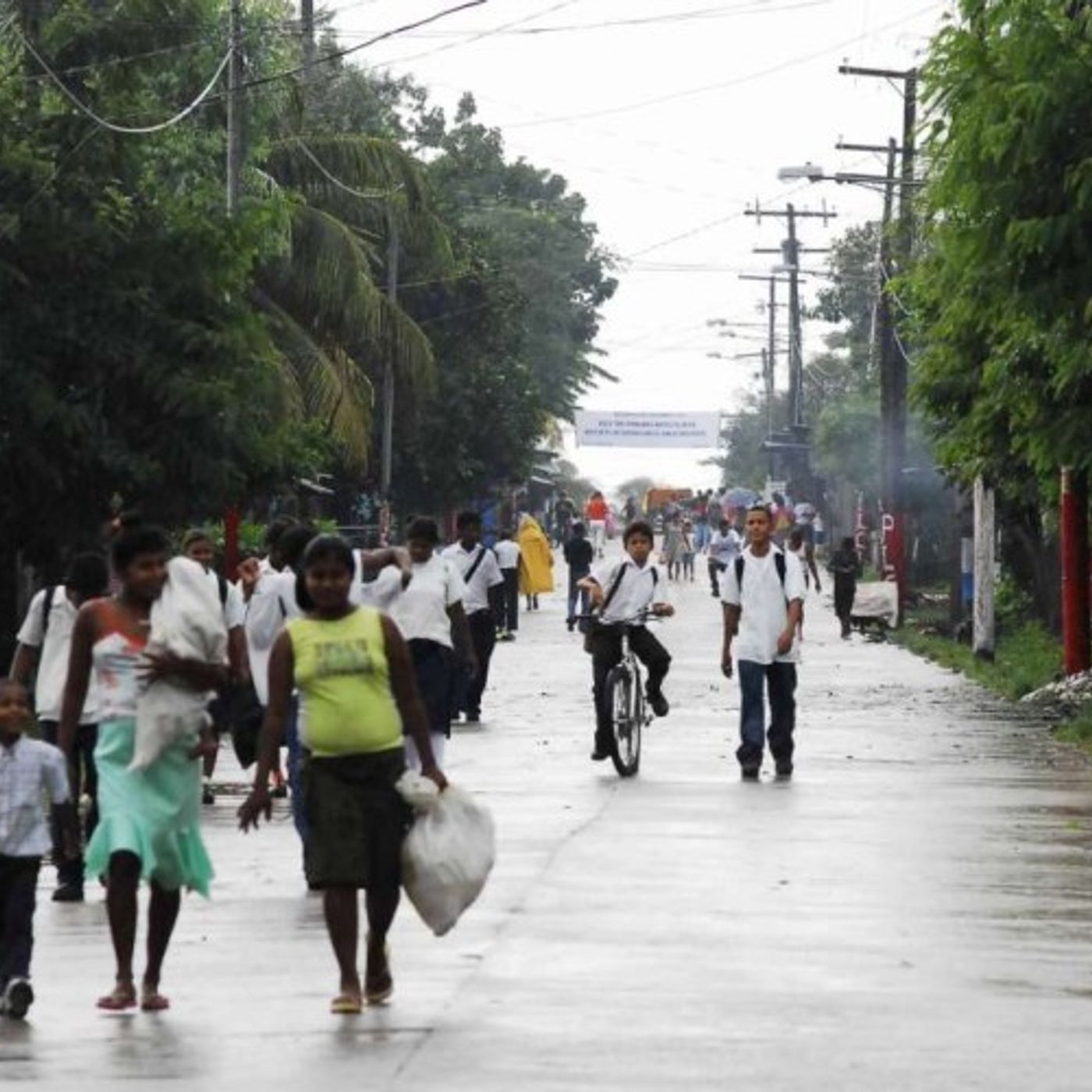 Comité Científico Multidisciplinario