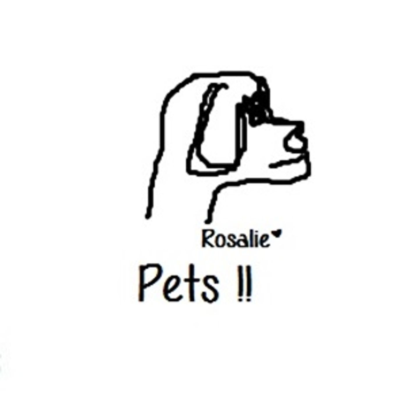 Pets episode artwork