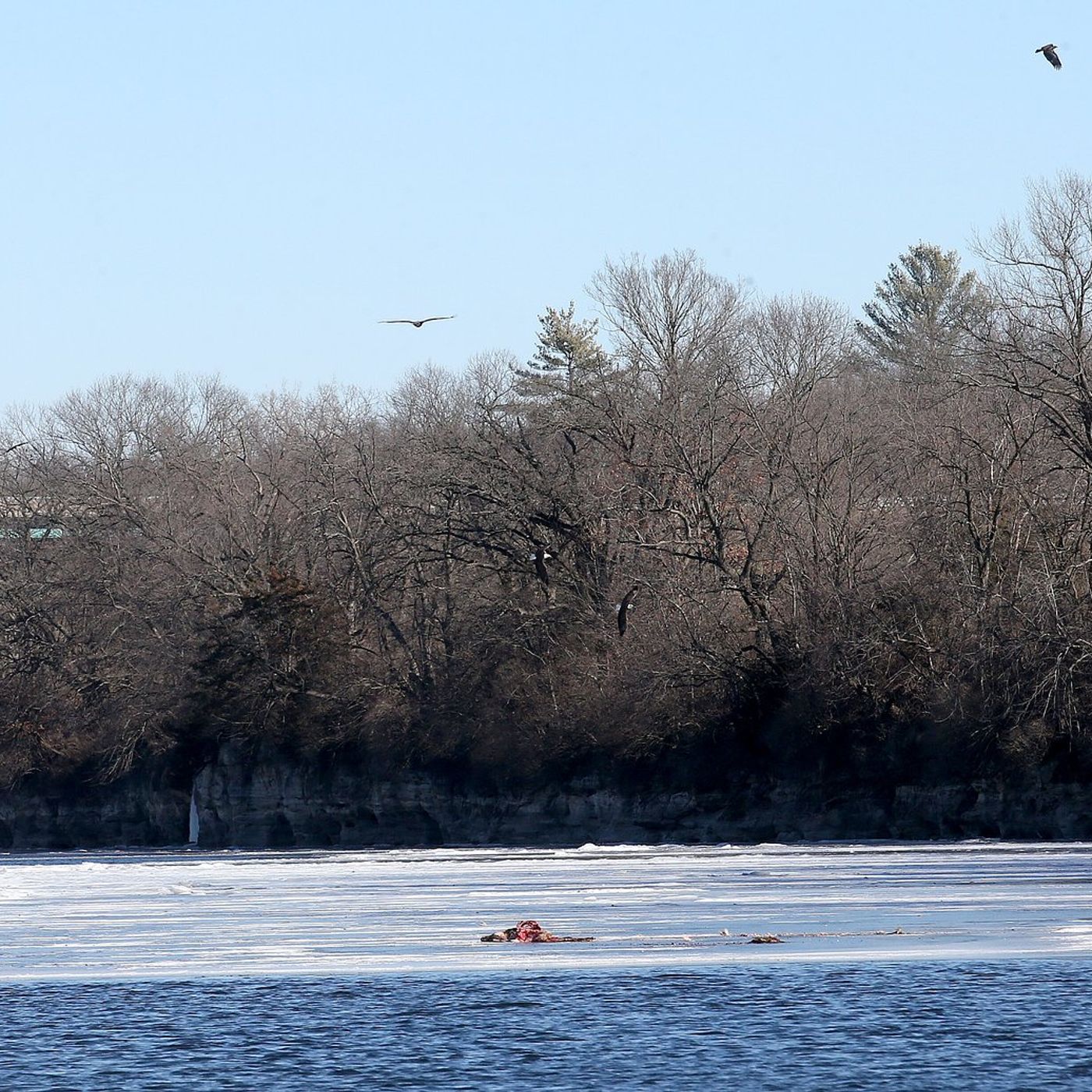 Friends of the Fox River rally against EPA ending protections for ‘70% of nation’s wetlands’