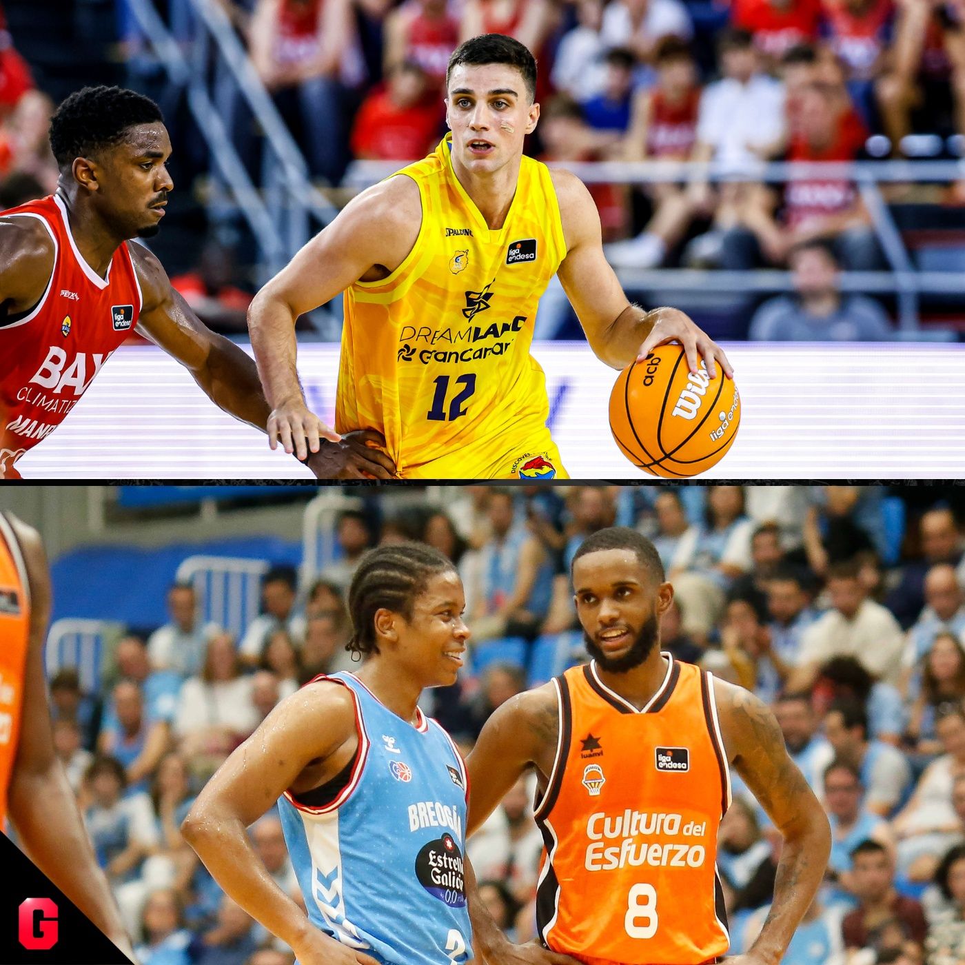 Gigantes Daily, baloncesto al día