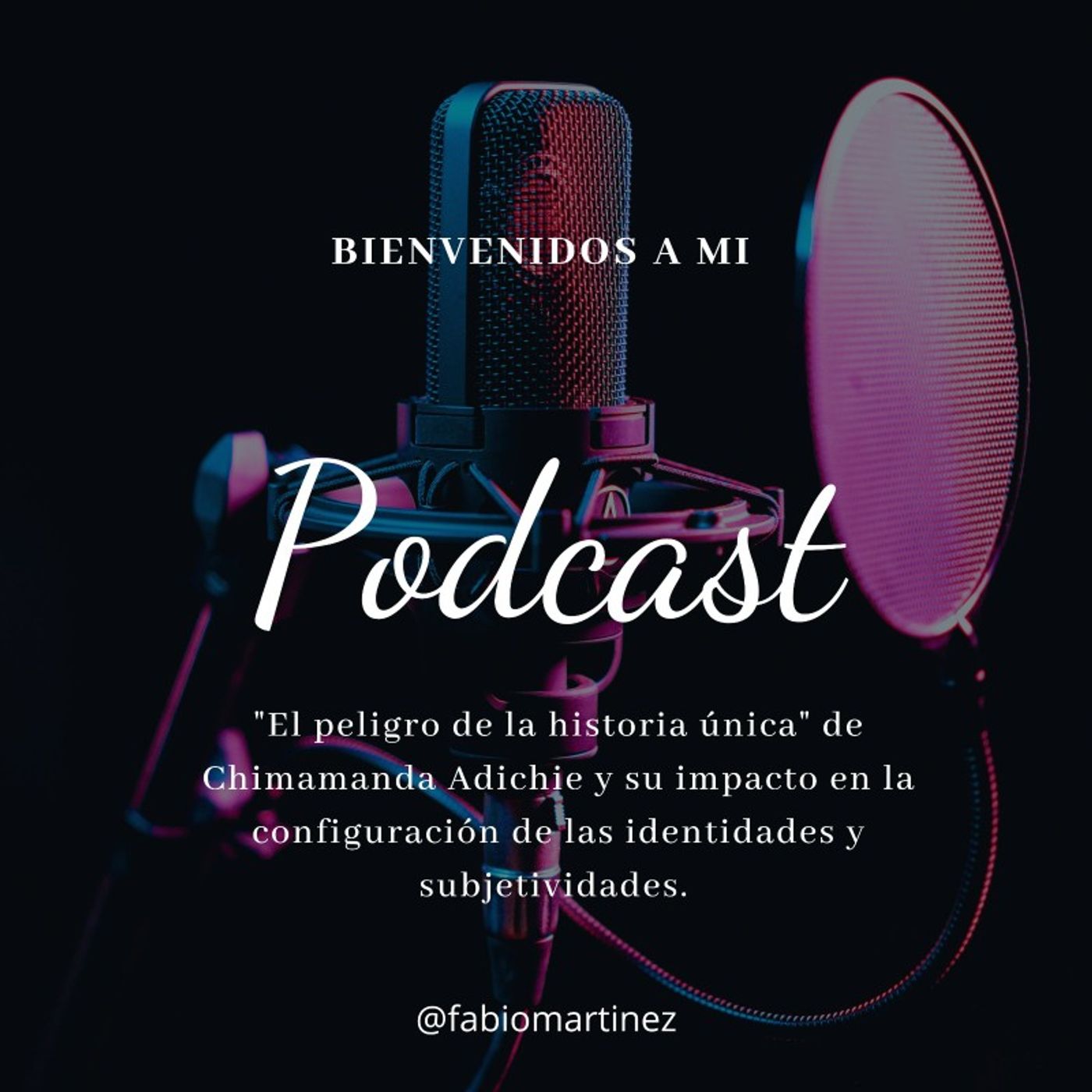 Podcast "El peligro de una historia única" de Chimamanda Adichie y su impacto en la configuración de las identidades y subjetividades episode artwork