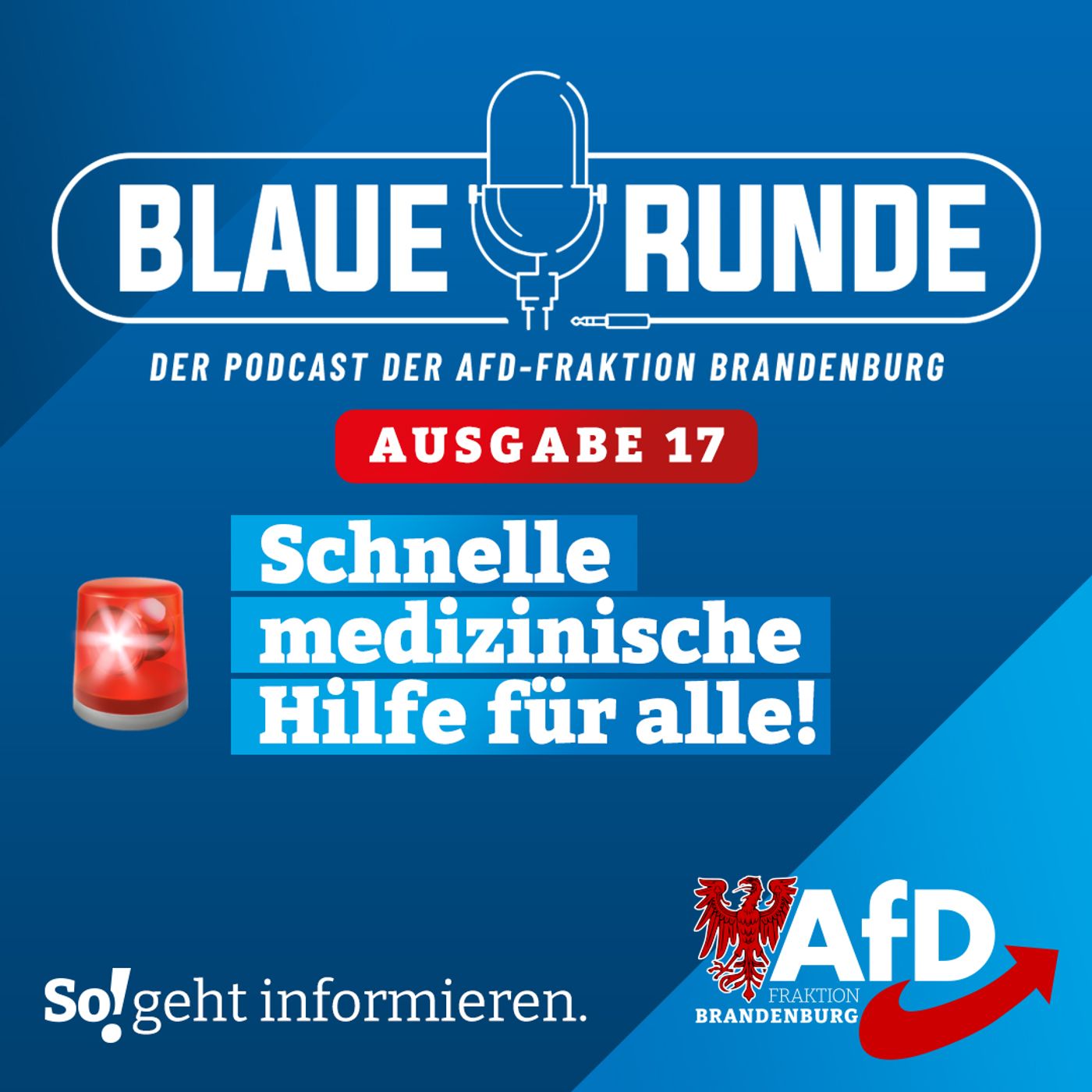 Schnelle medizinische Hilfe für alle! | Die Blaue Runde, Ausgabe 17/24 vom 12.03.2024 episode artwork