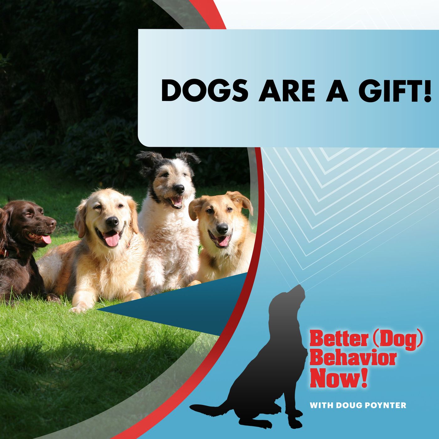 Dogs Are A Gift! episode artwork