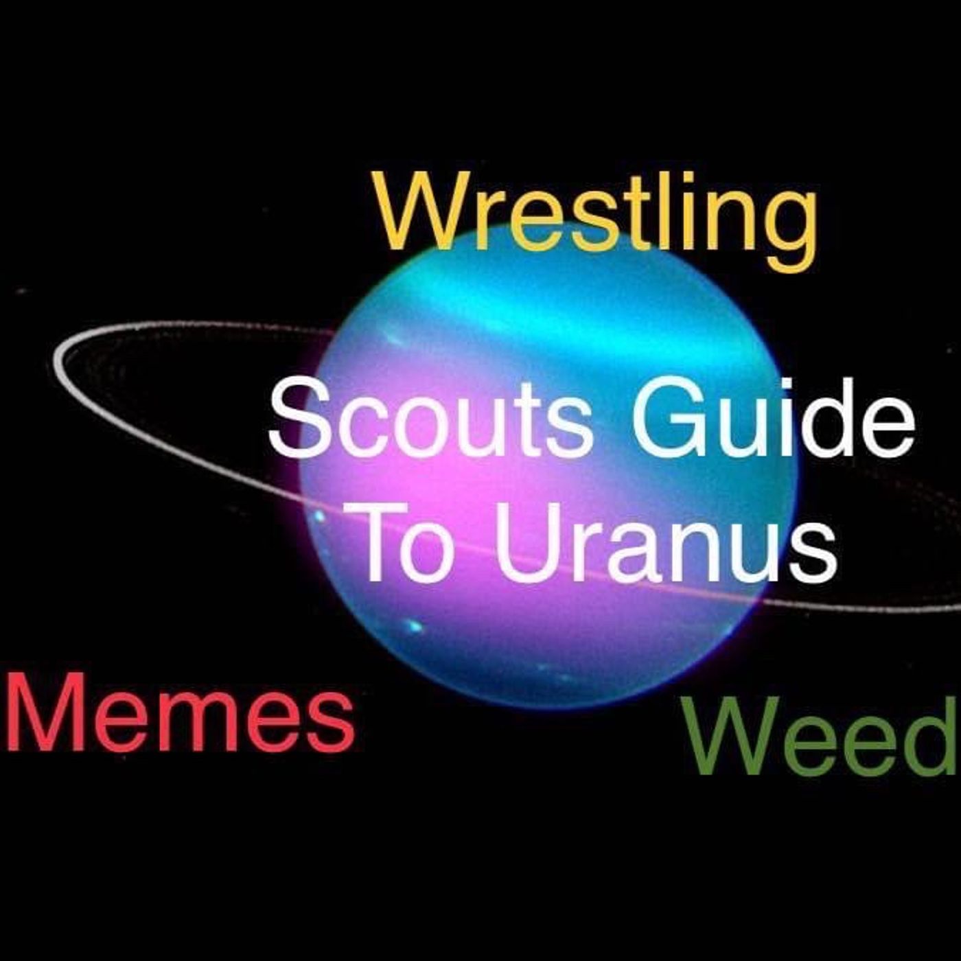 Episode 1 - Scouts Guide To Uranus episode artwork
