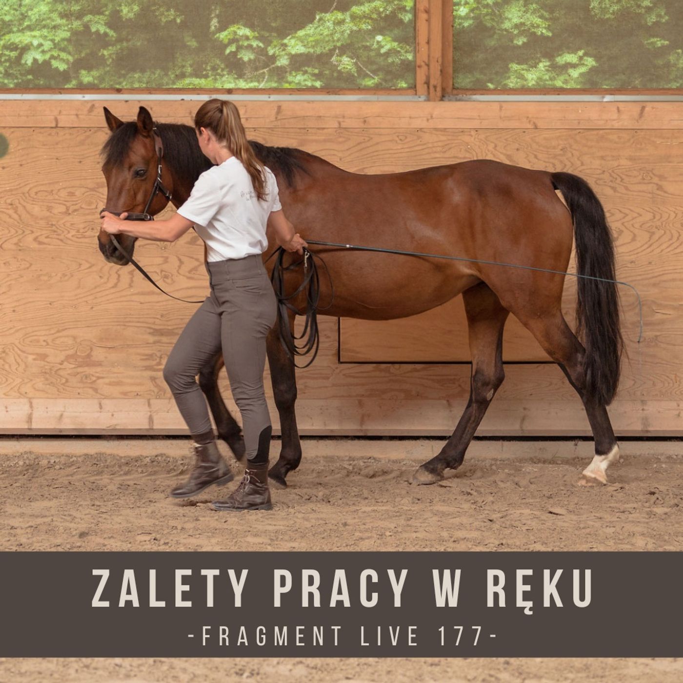 Zalety pracy w ręku - fragment live 177 episode artwork