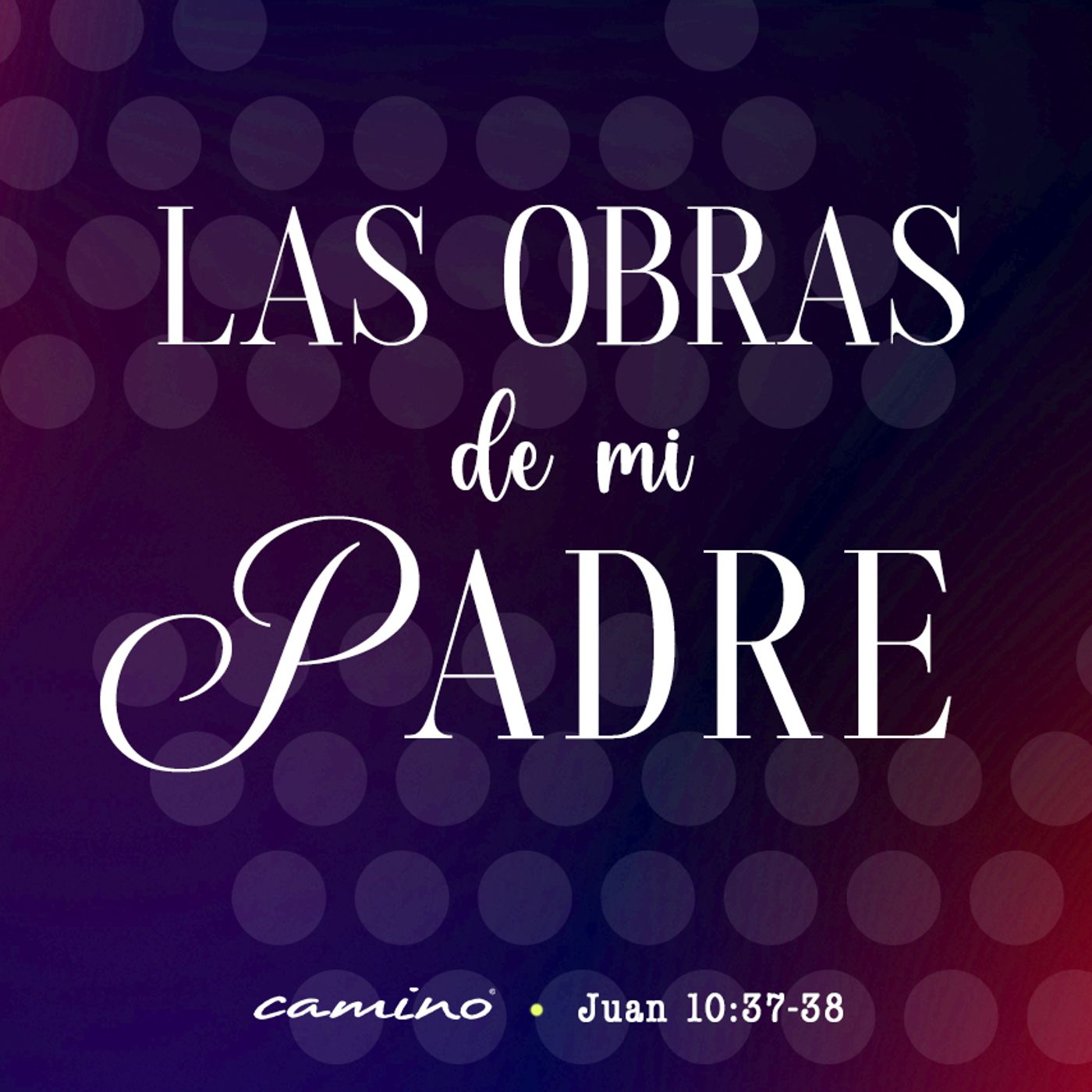Oración 15 de diciembre (Las obras de mi Padre) episode artwork