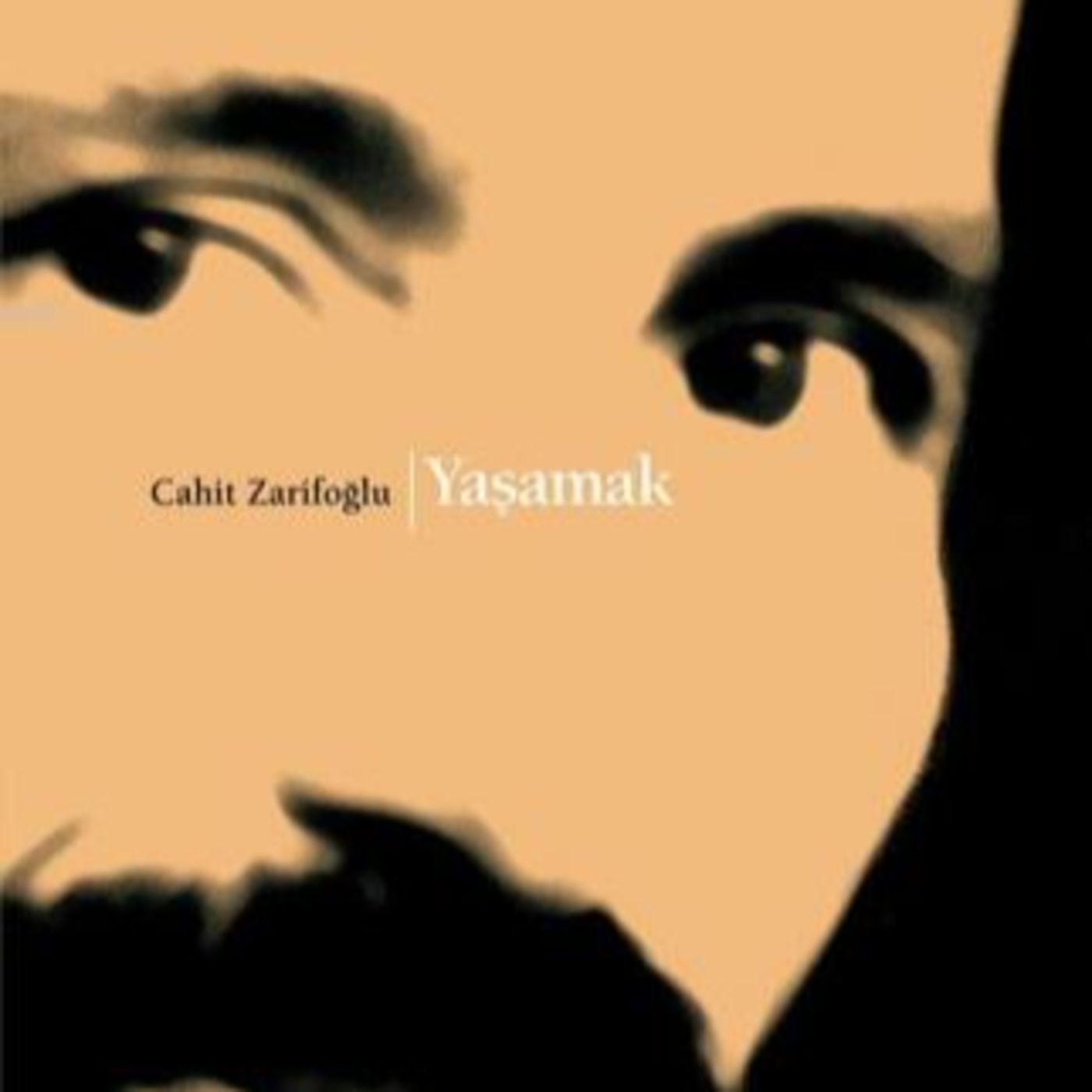 Şiirler Ve Kitaplar