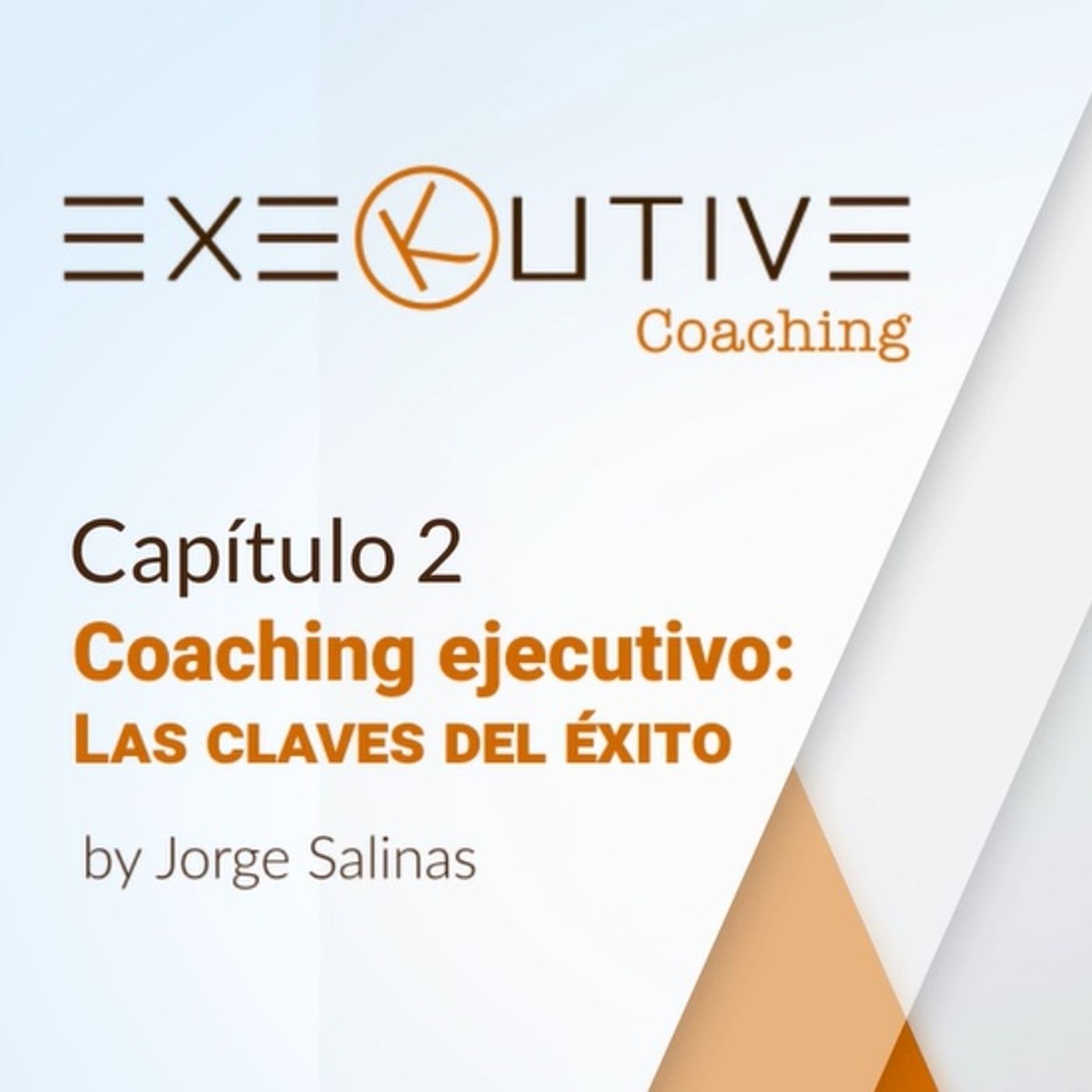 Los básicos del coaching ejecutivo