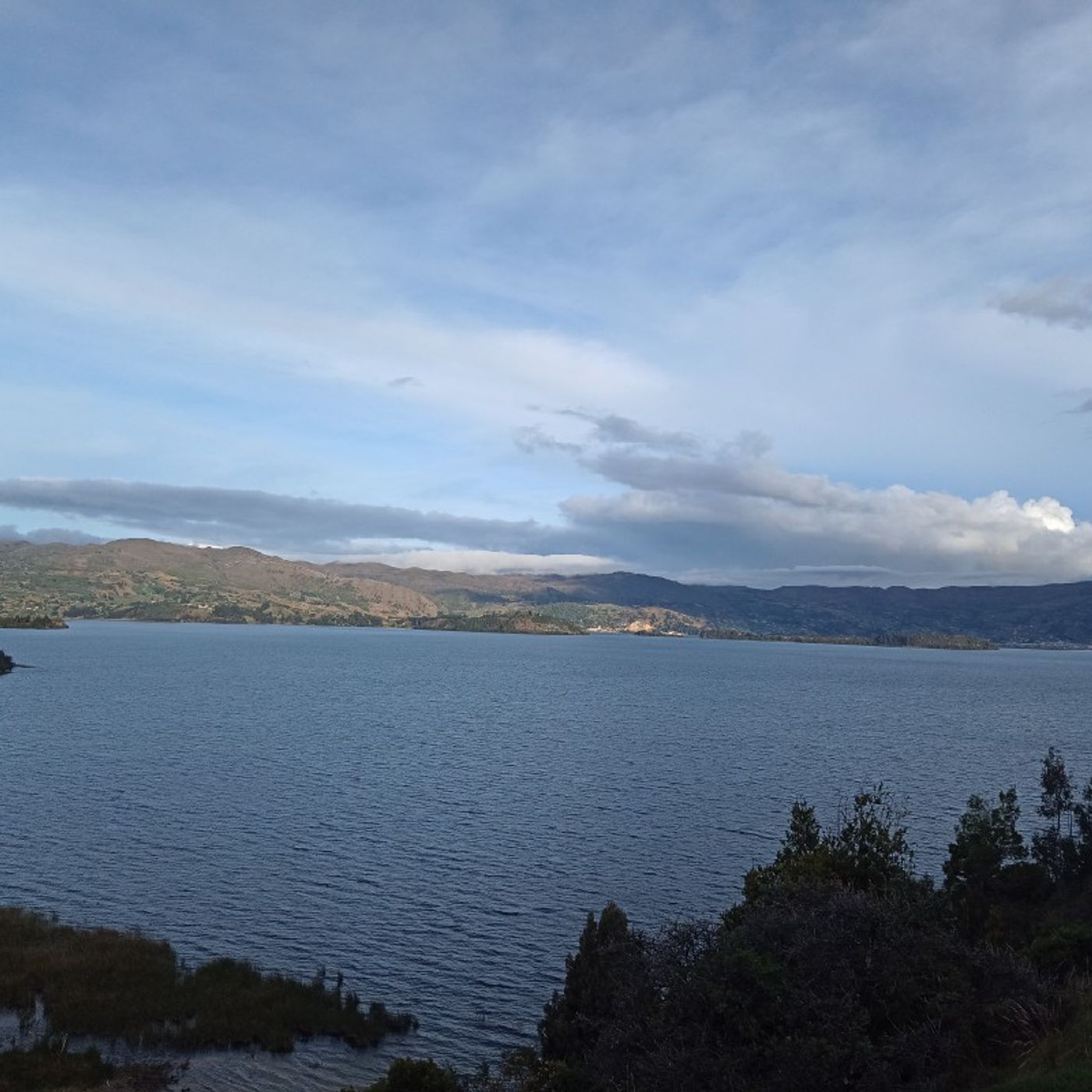 Psicóloga y curso de la vida episode artwork