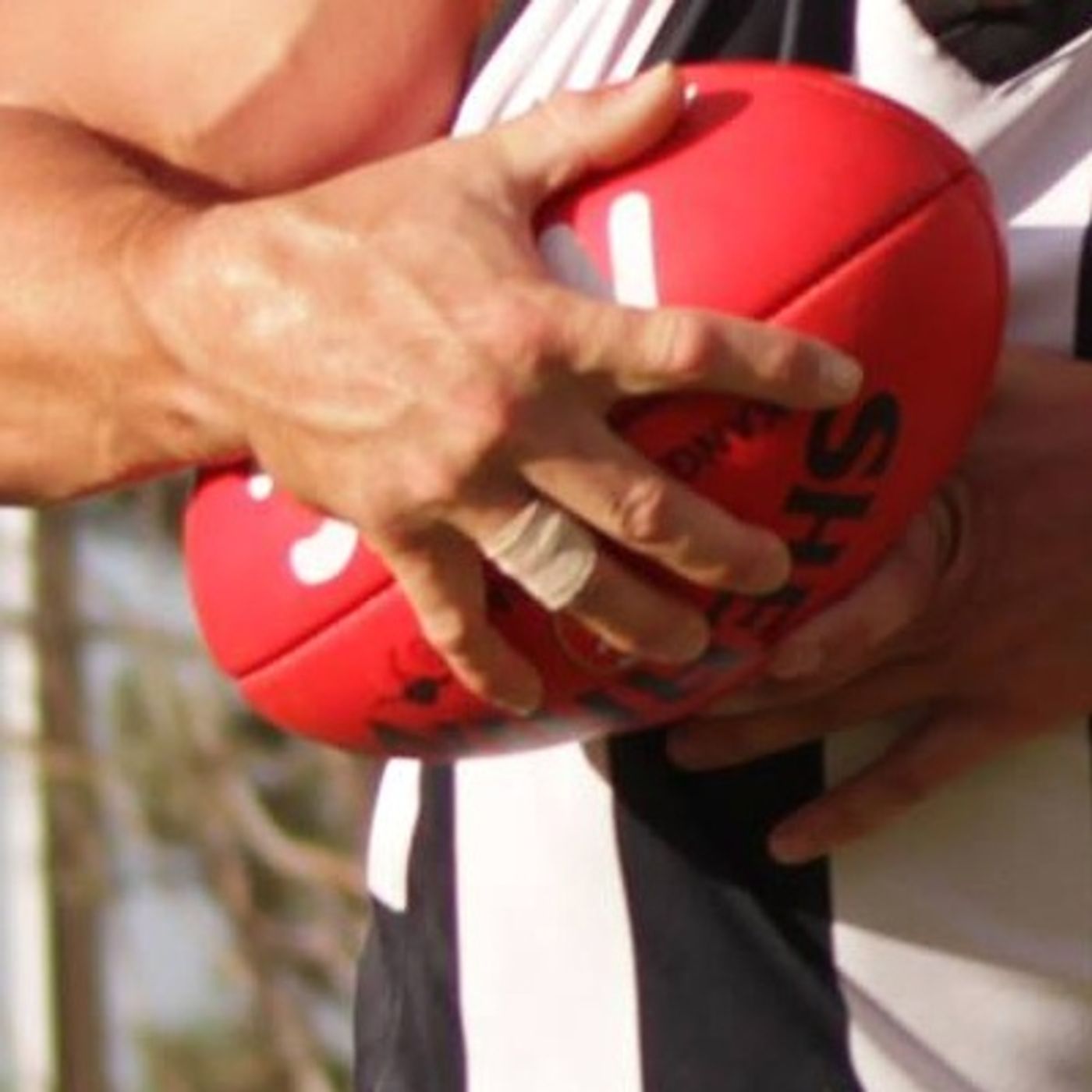 North Central Football icon Dale Hinkley discusses the latest footy action with Wayne the Flowman episode artwork