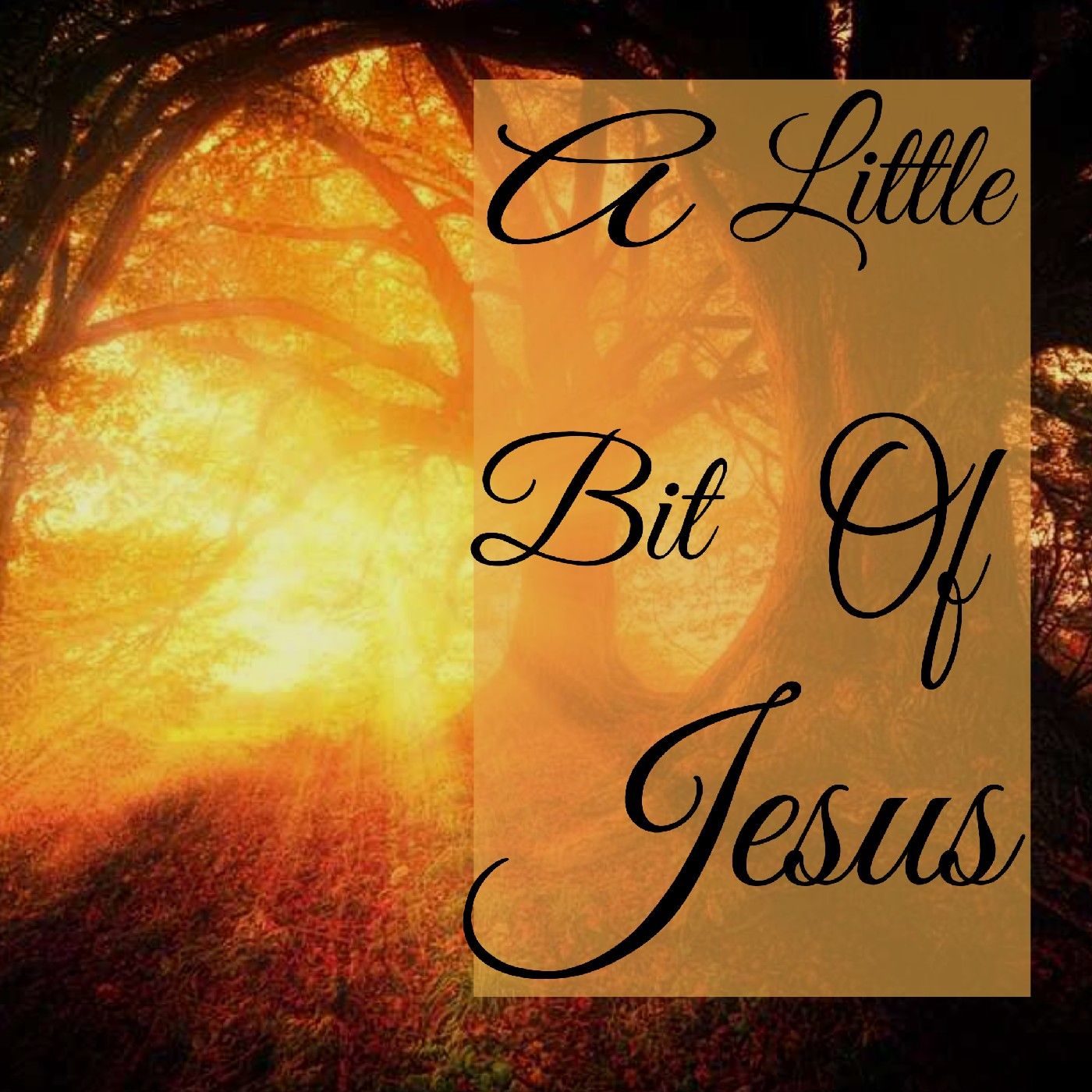 A Little Bit Of Jesus