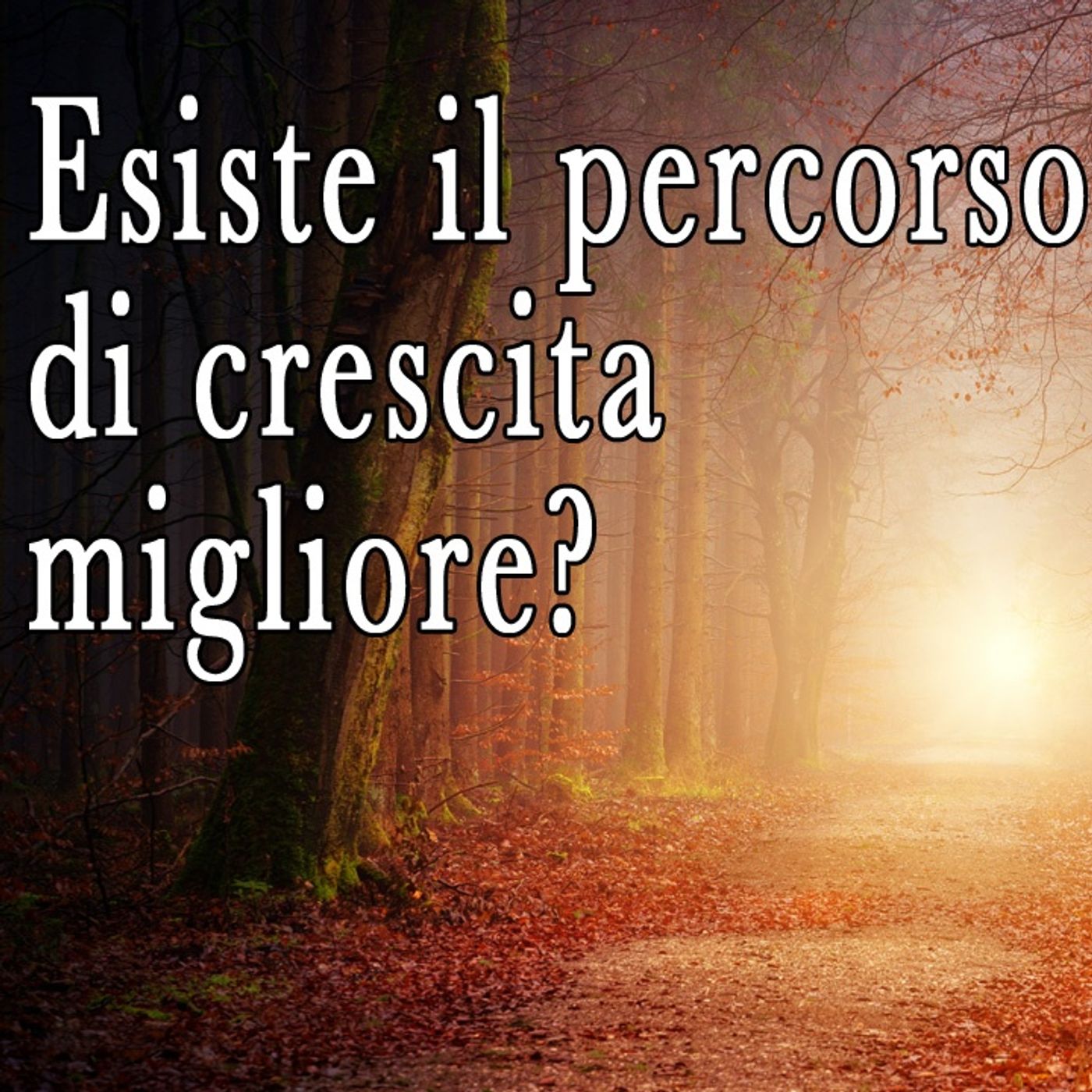 Esistono i corsi e il percorso giusto per la nostra crescita? episode artwork