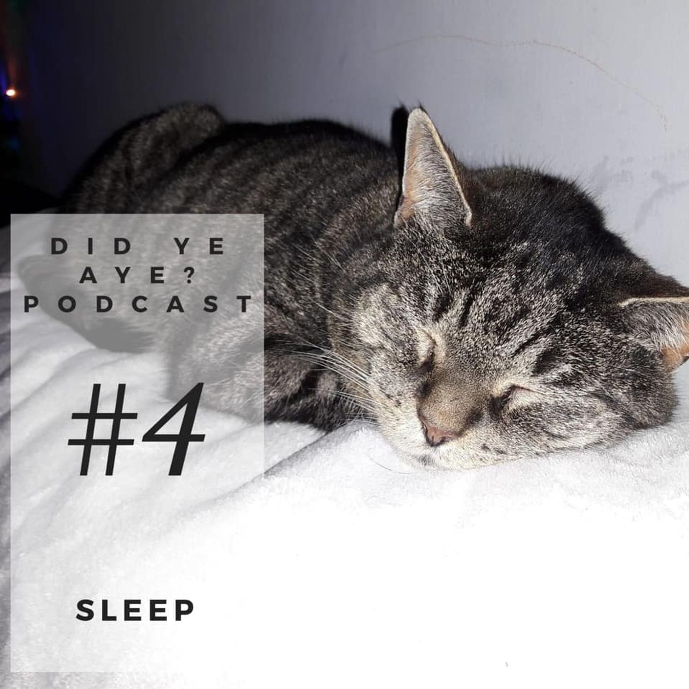 Did Ye Aye? Podcast